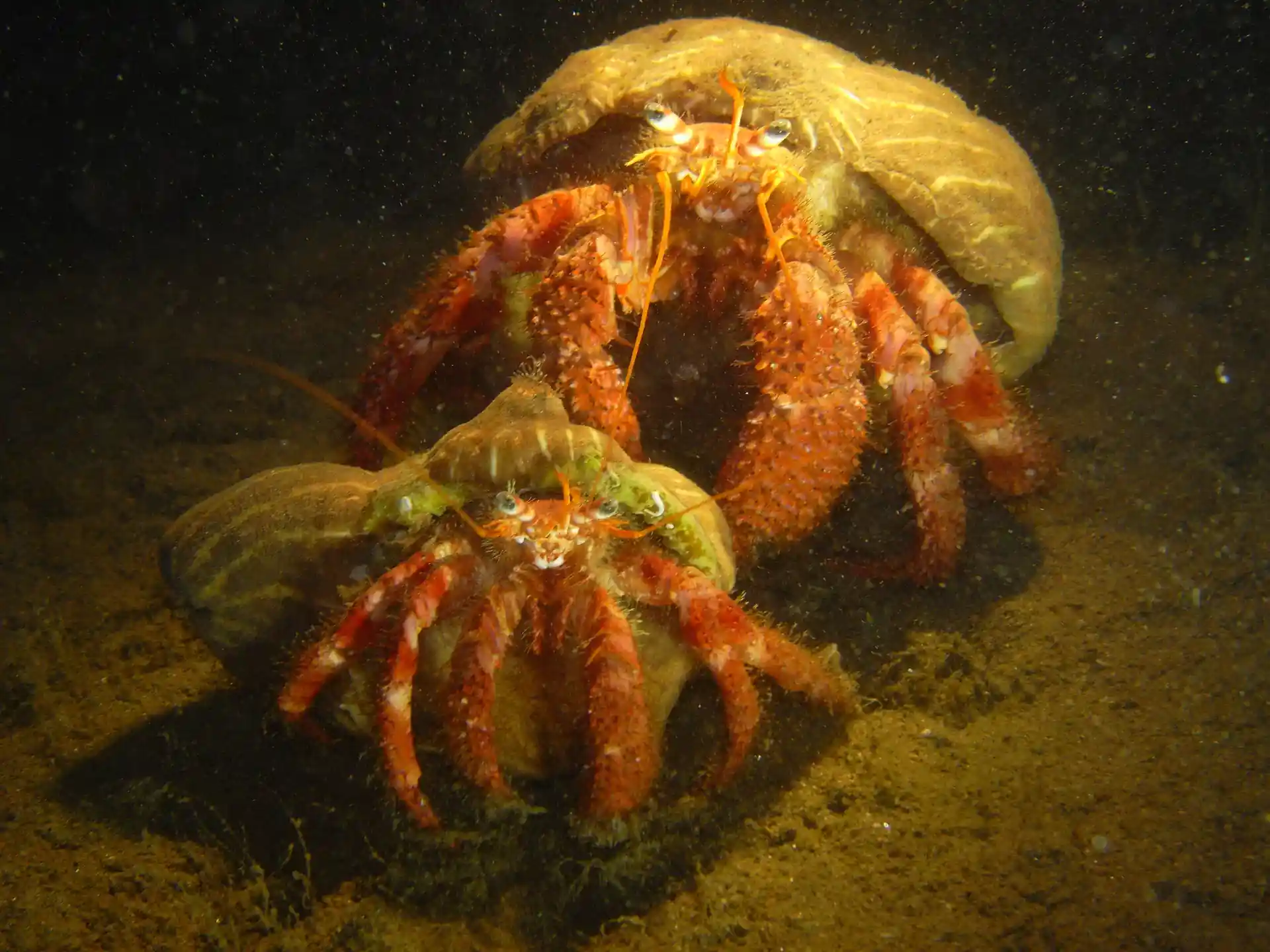 Foto des Tauchplatzes