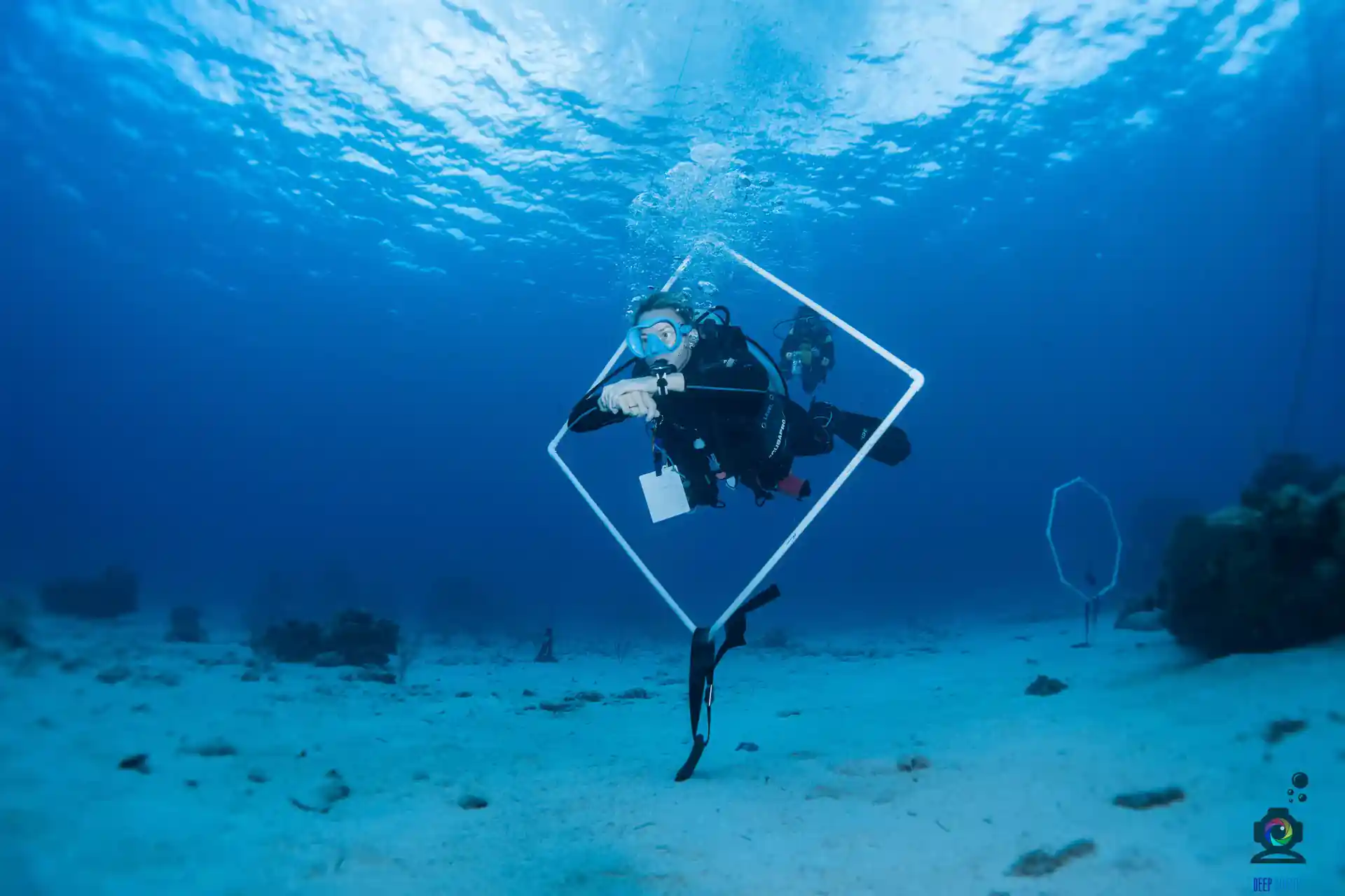 Foto de la actividad