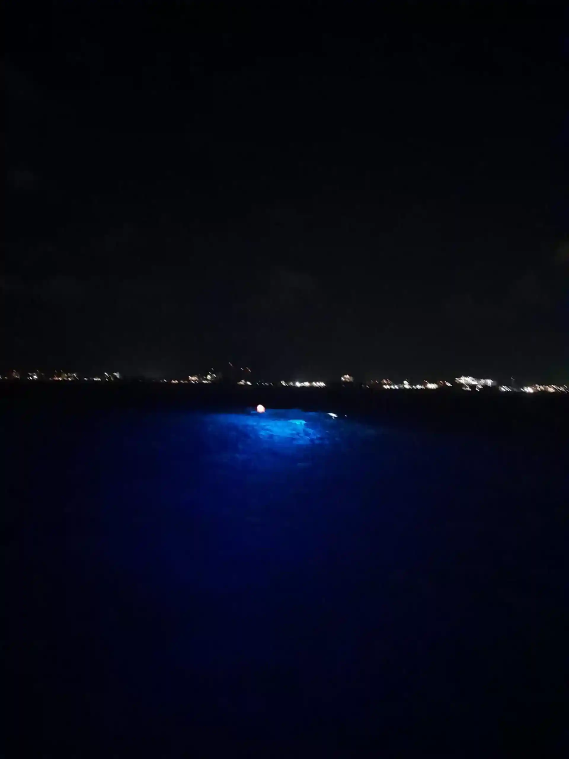 Pelagic Magic Black Water Diving!