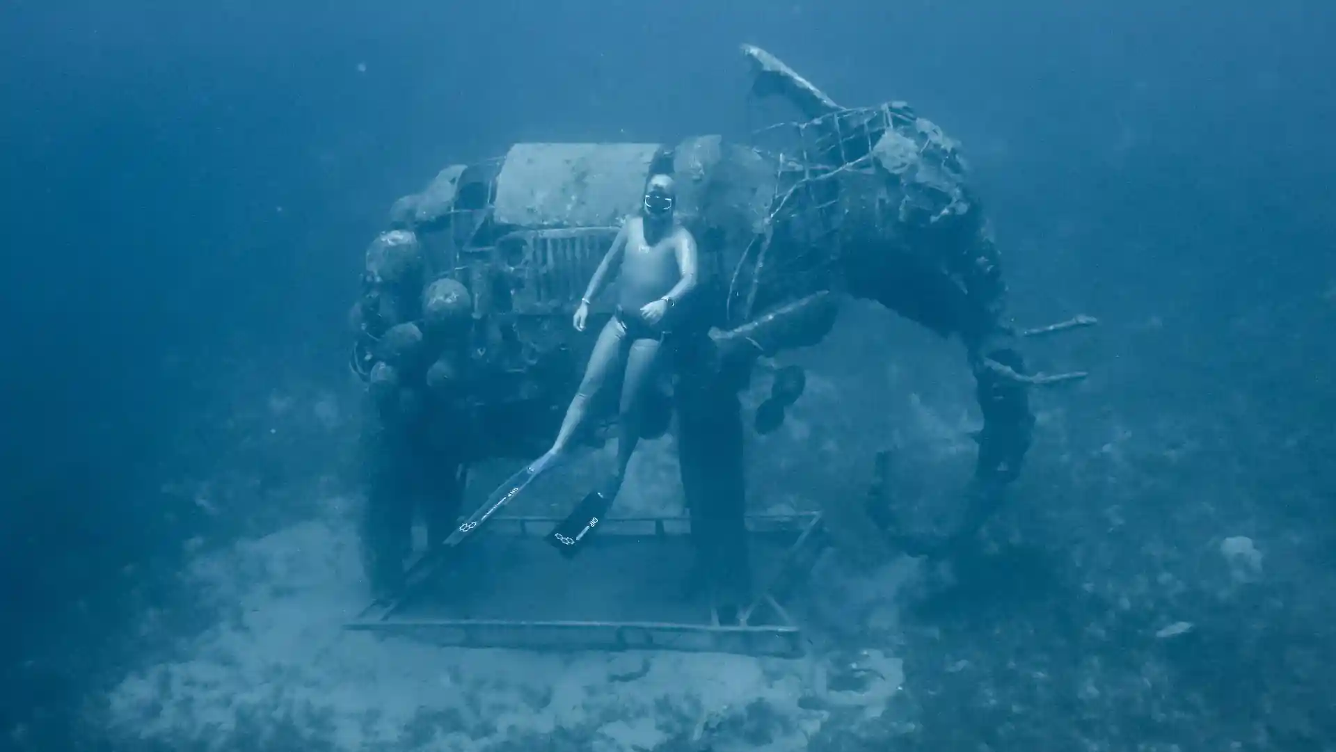 Foto de la tienda de buceo