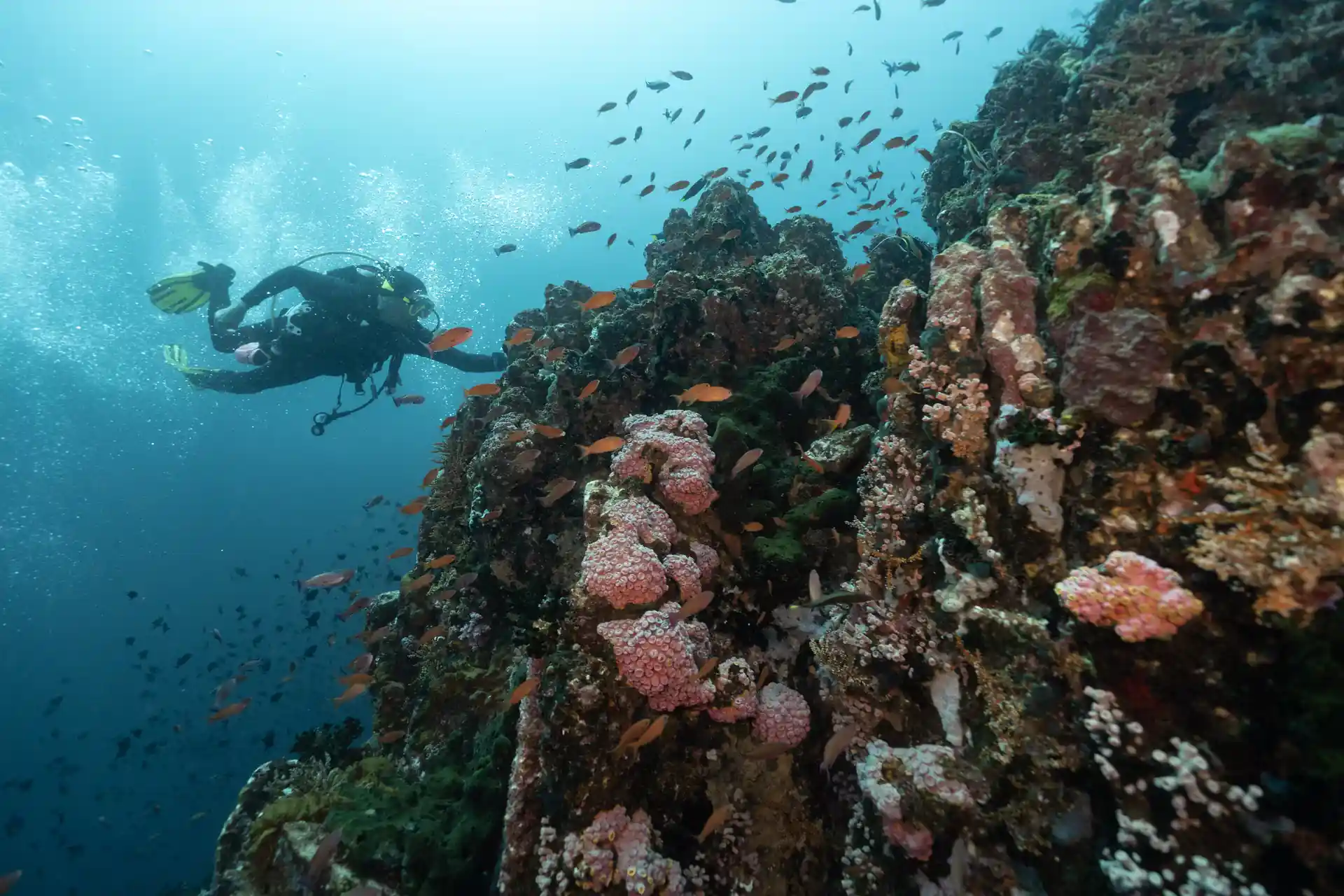 Foto de la actividad
