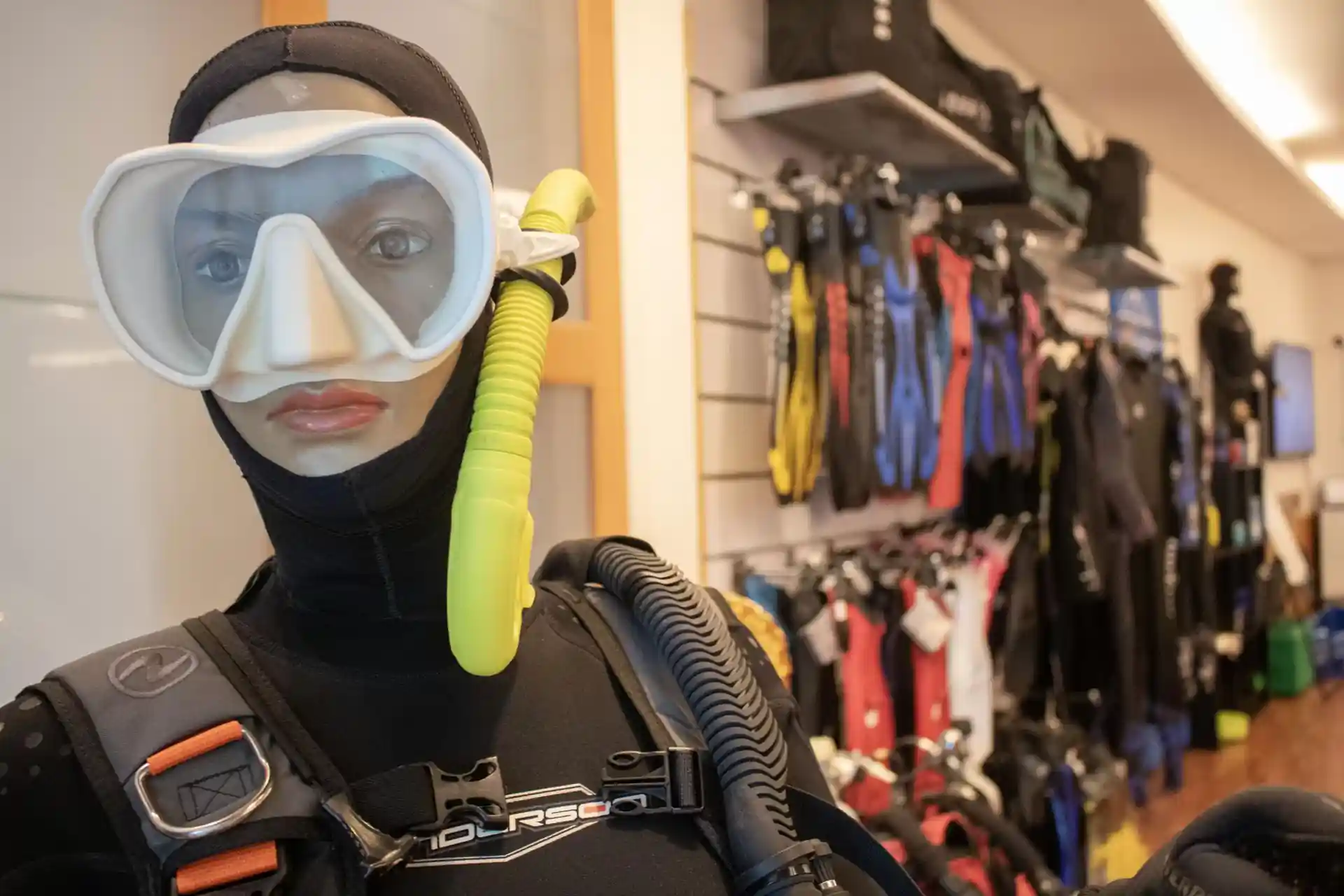 Dive shop photo