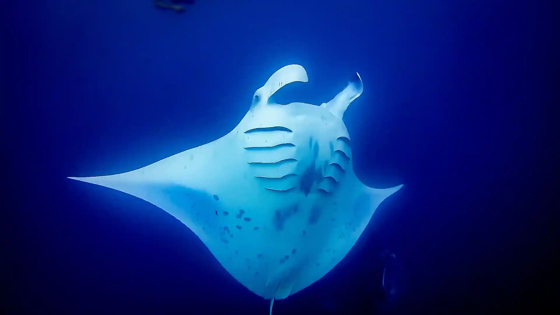 Photo de l'activité