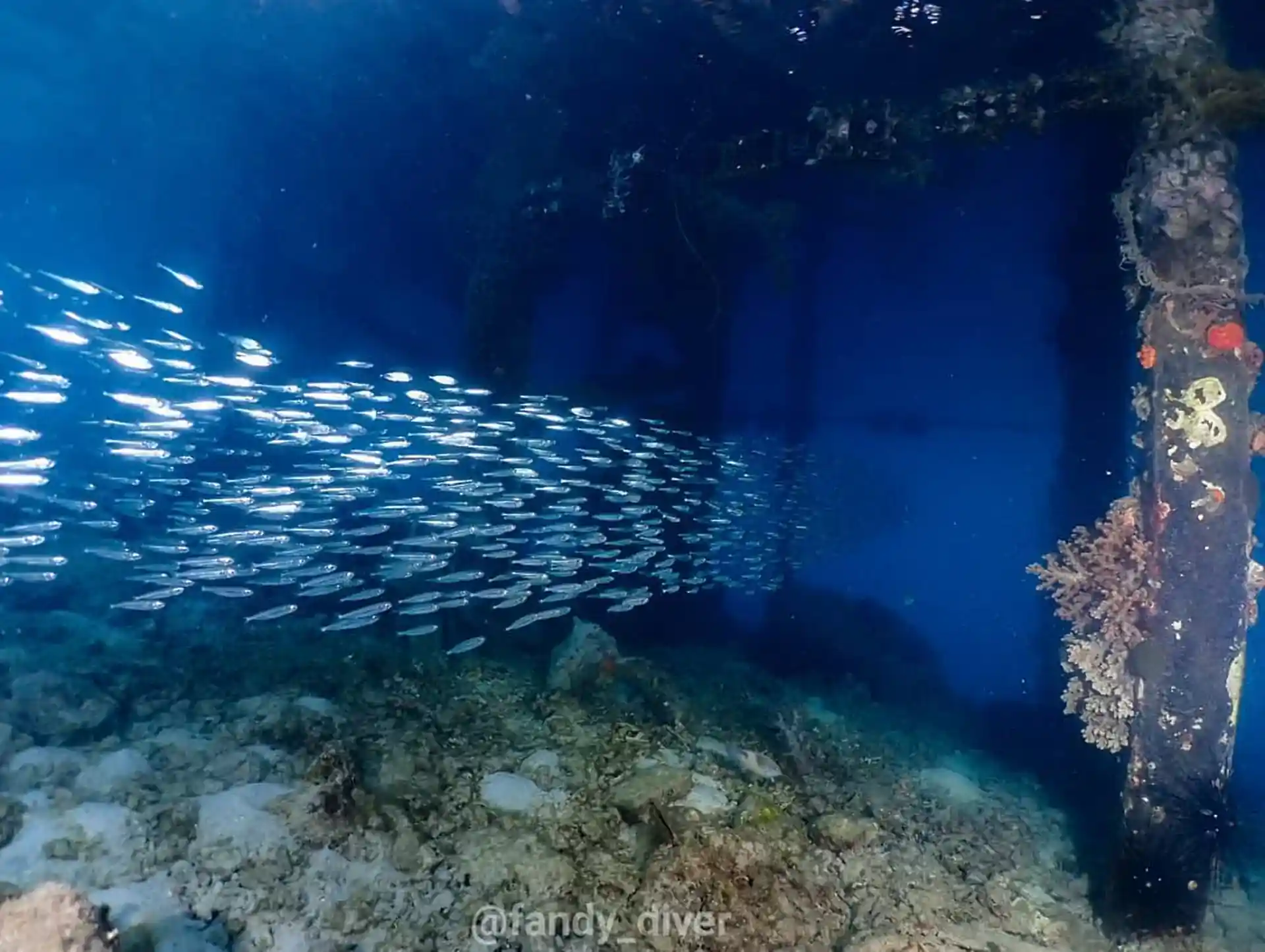Dive shop photo