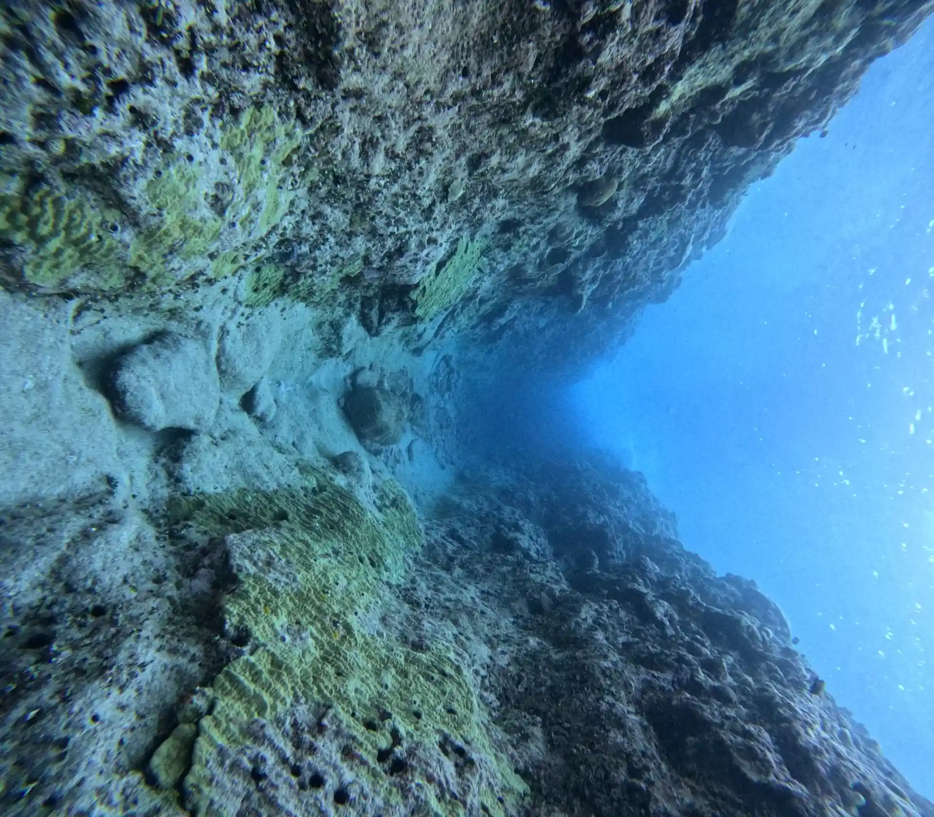Dive site photo