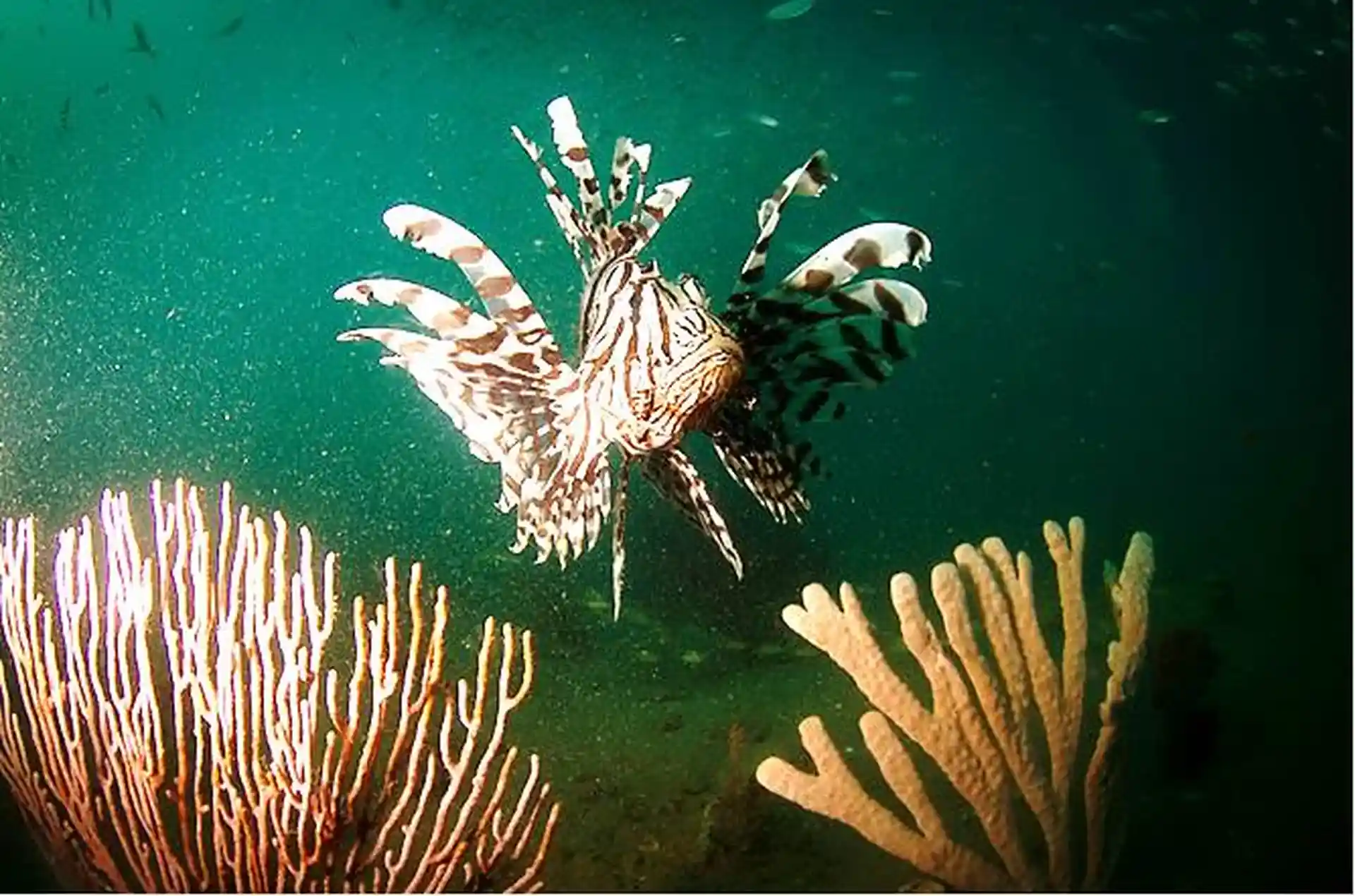 Dive shop photo