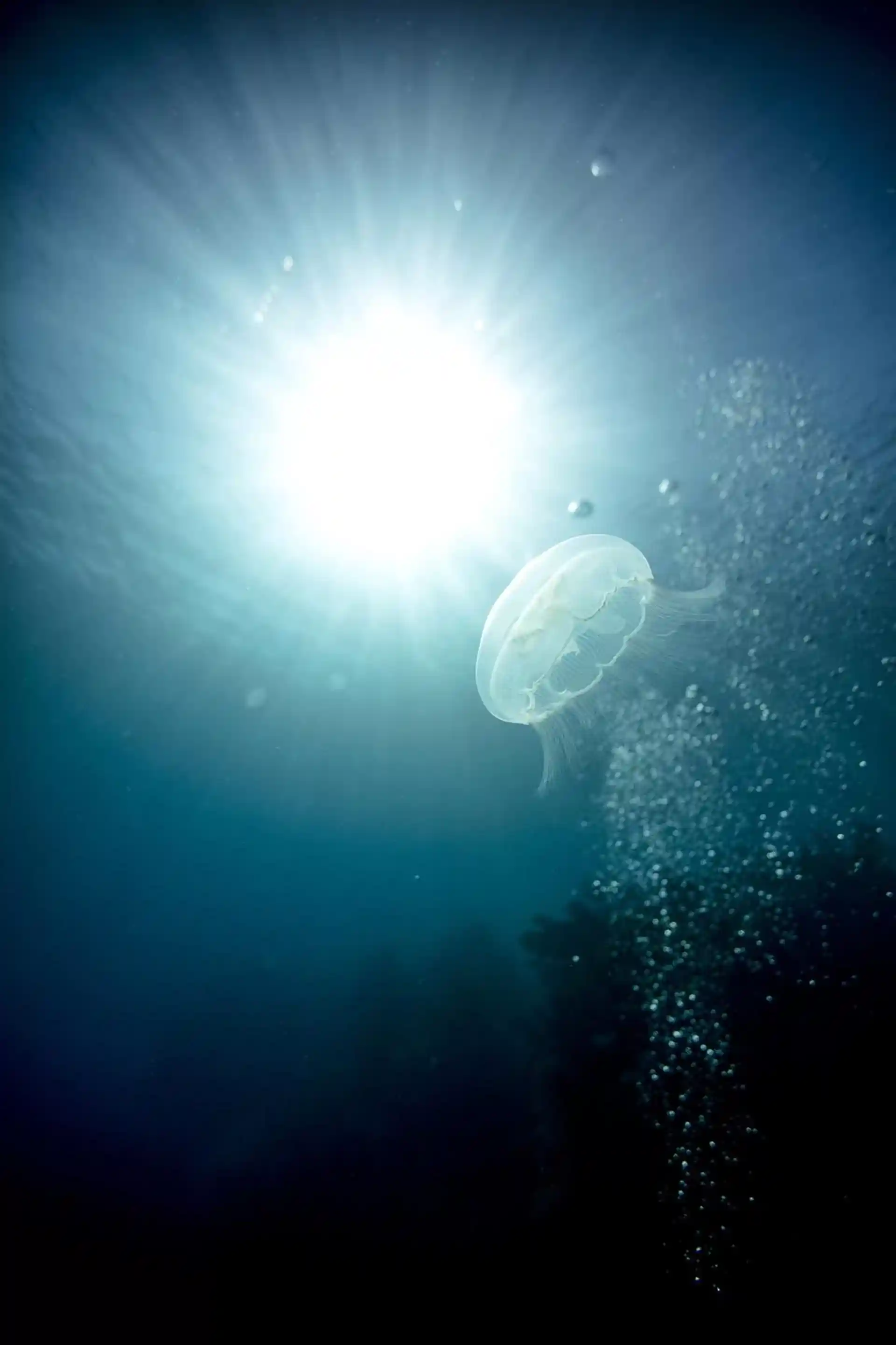 Foto de la actividad