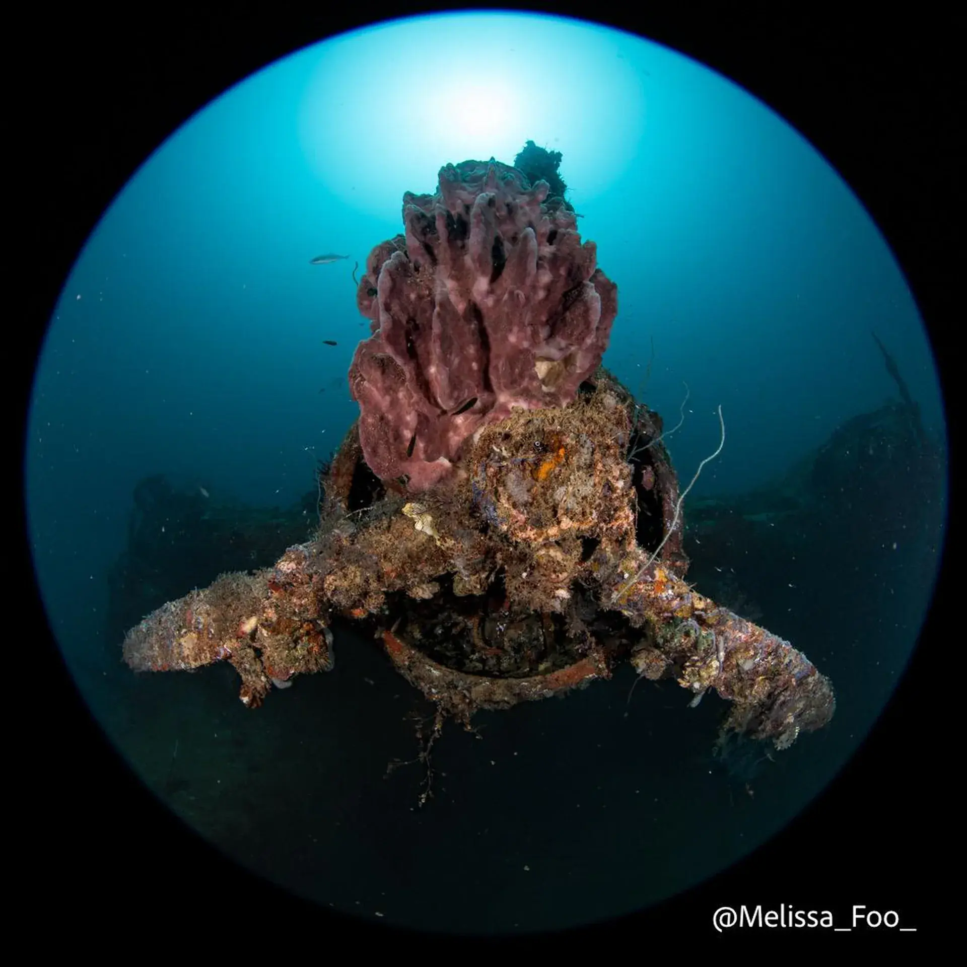 Photo du magasin de plongée