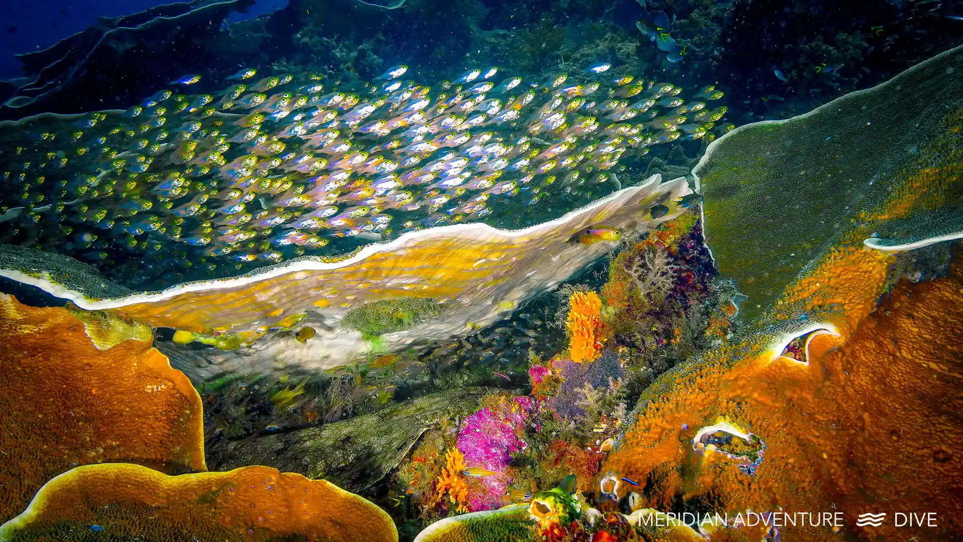 Foto de la actividad