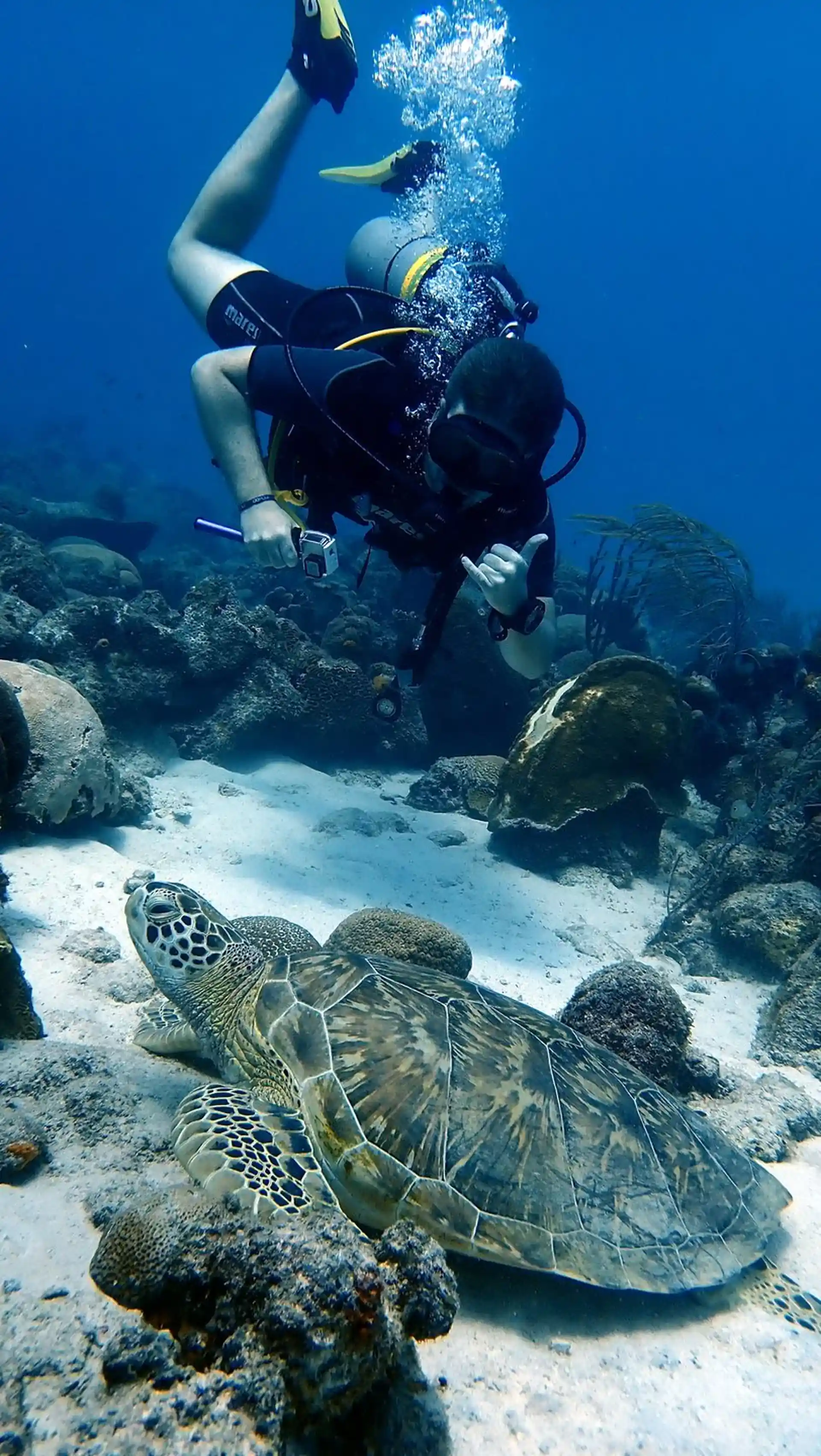 ダイビングサイトの写真