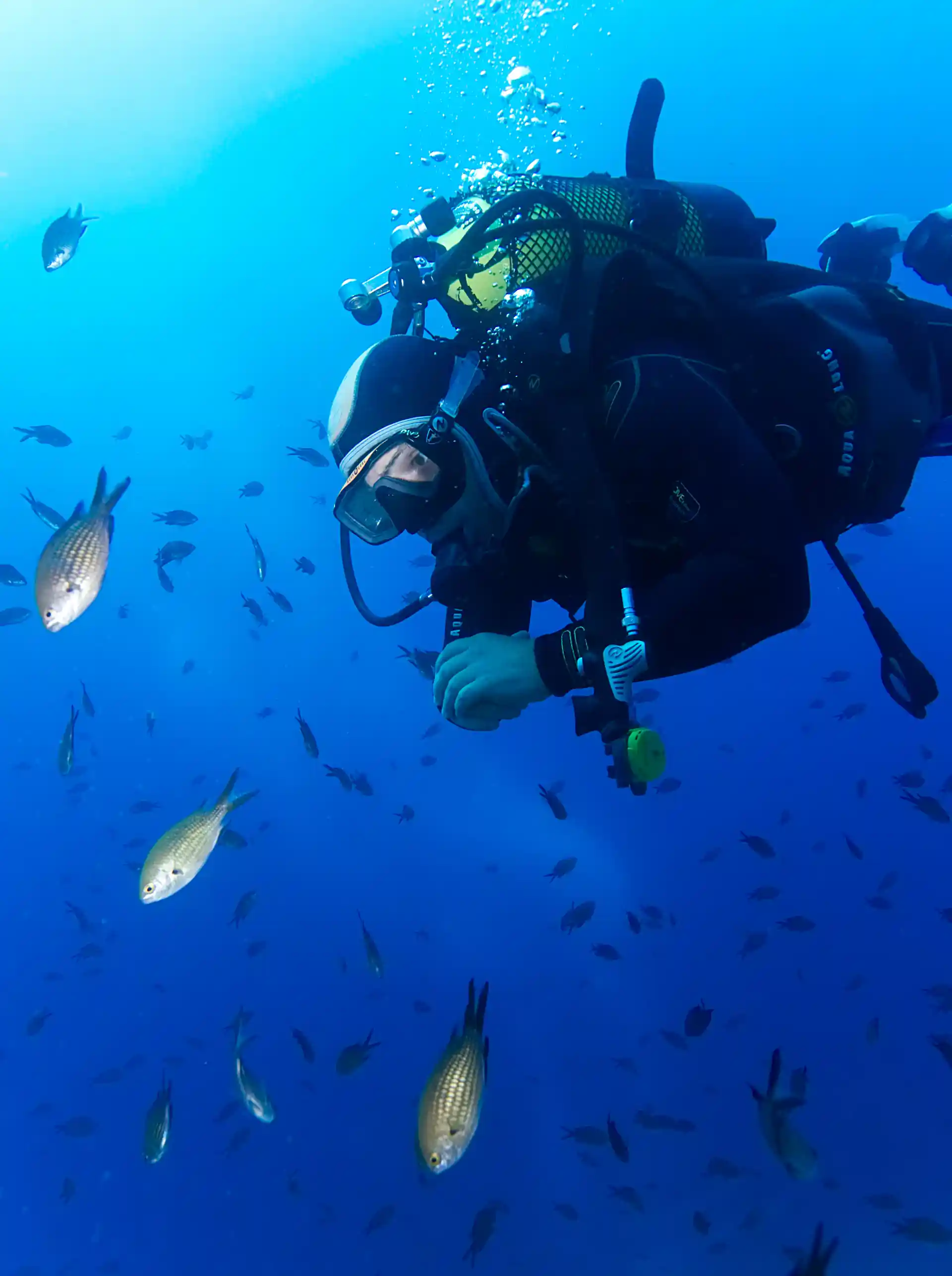 Step forward into your diving skills.