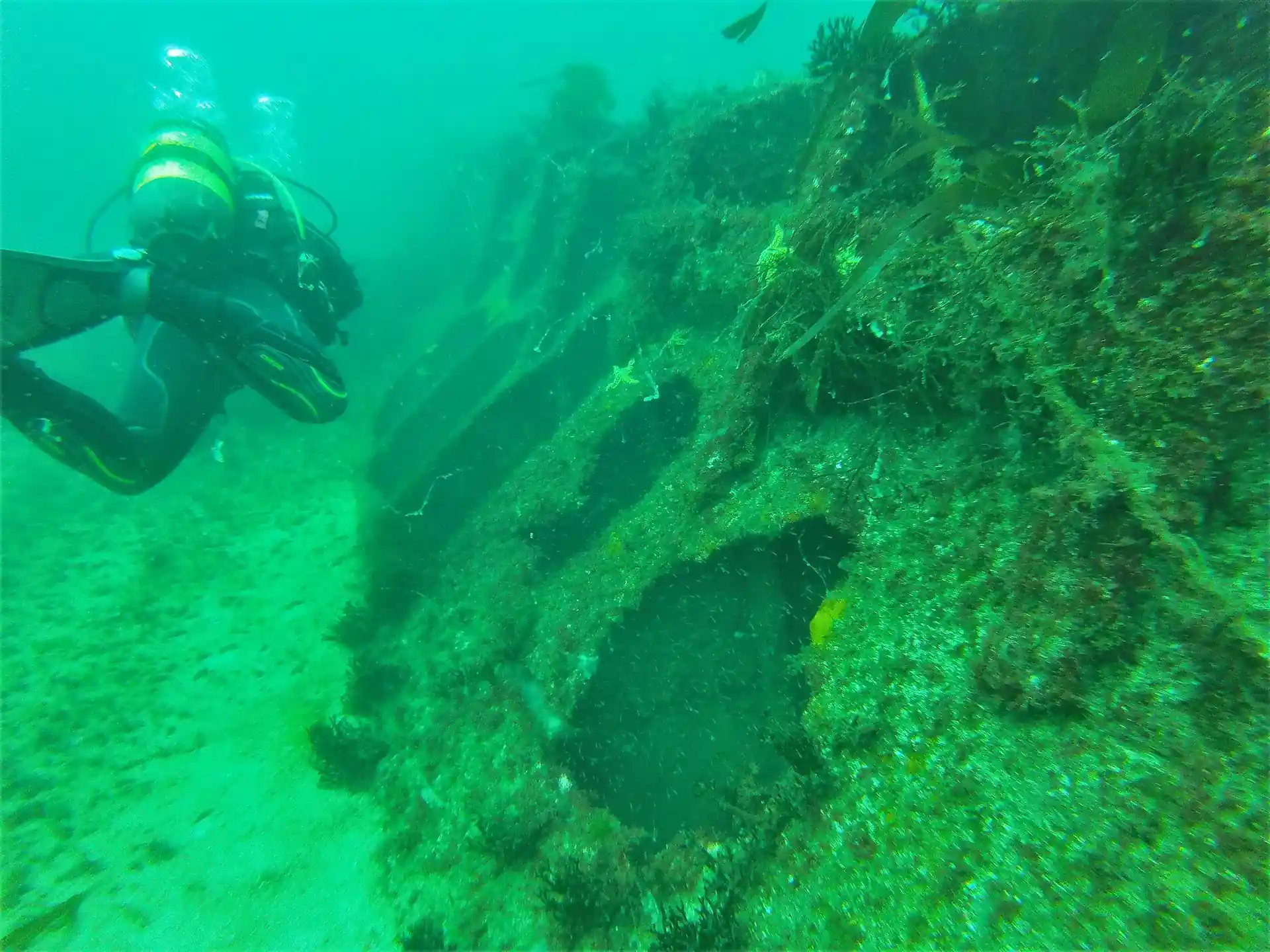 Foto del sitio de buceo