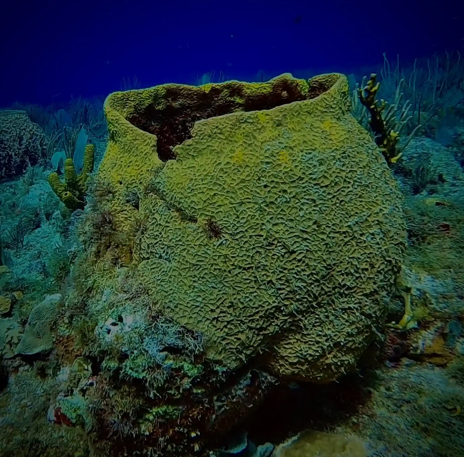 Foto des Tauchplatzes