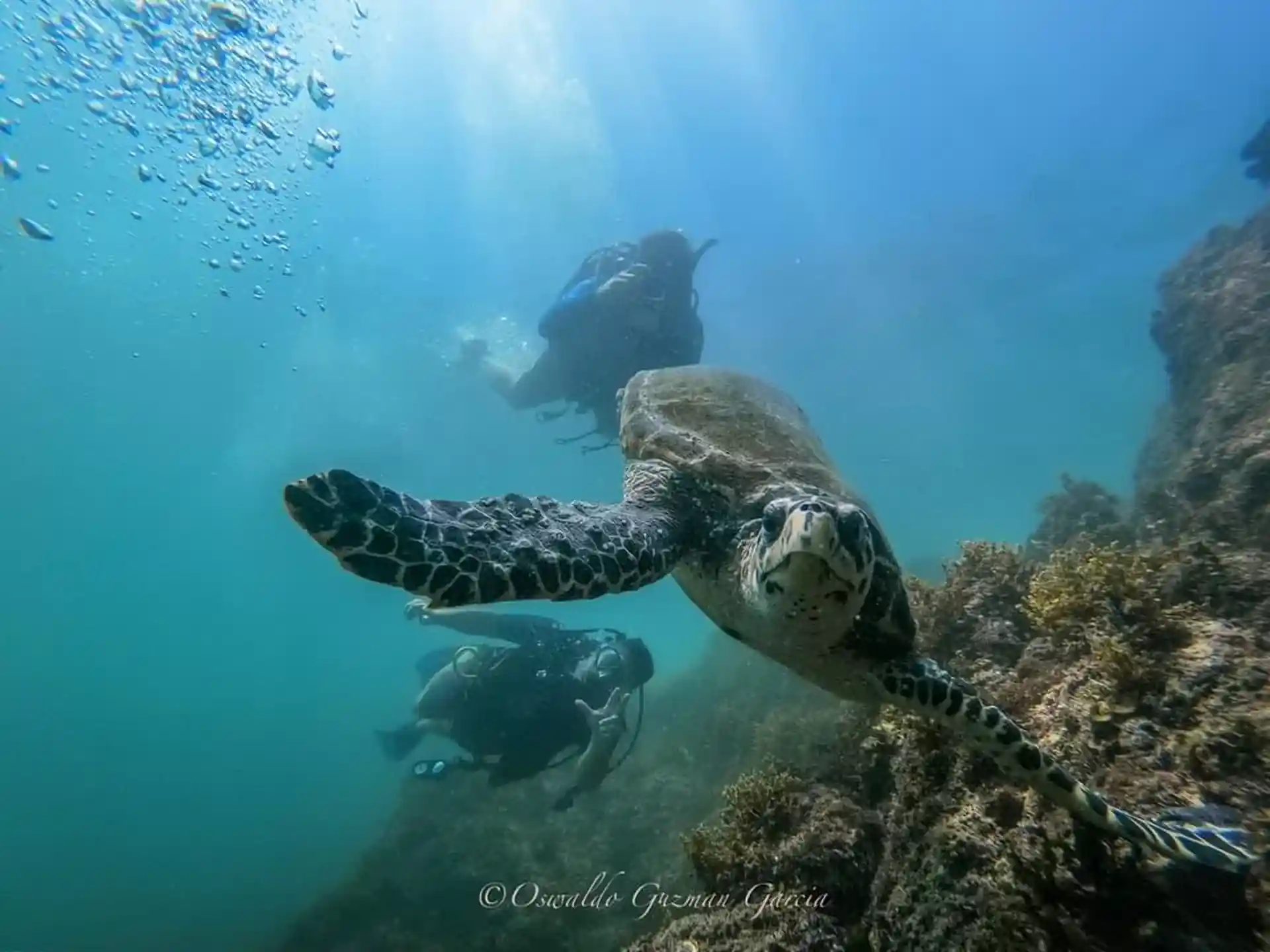 Dive site photo