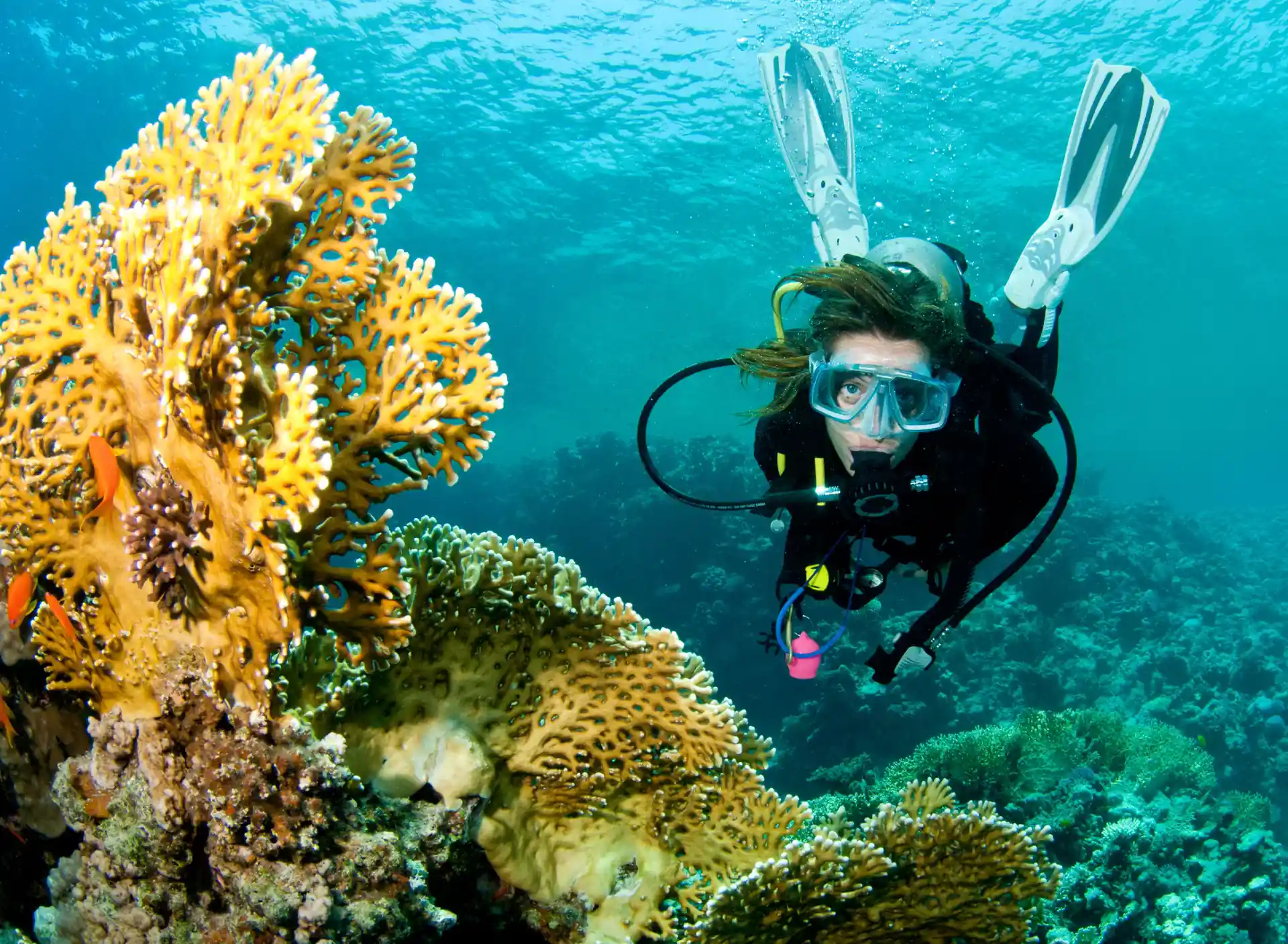 Learn to dive in Dahab, Egypt
