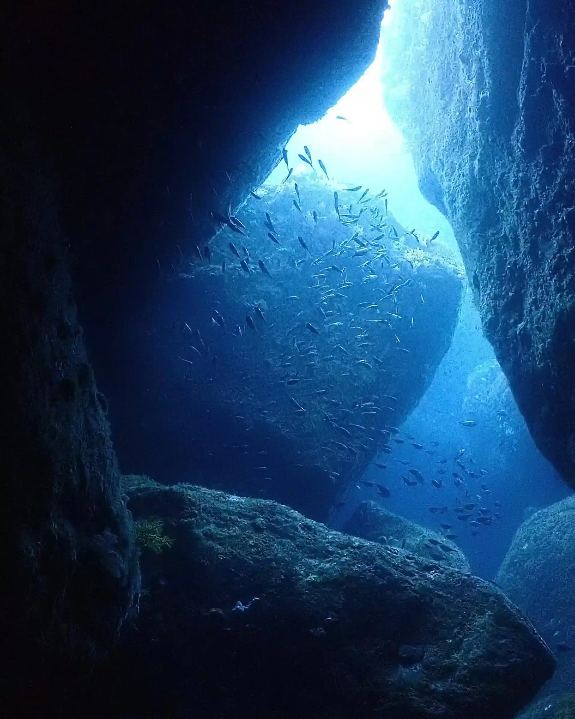 Dive shop photo