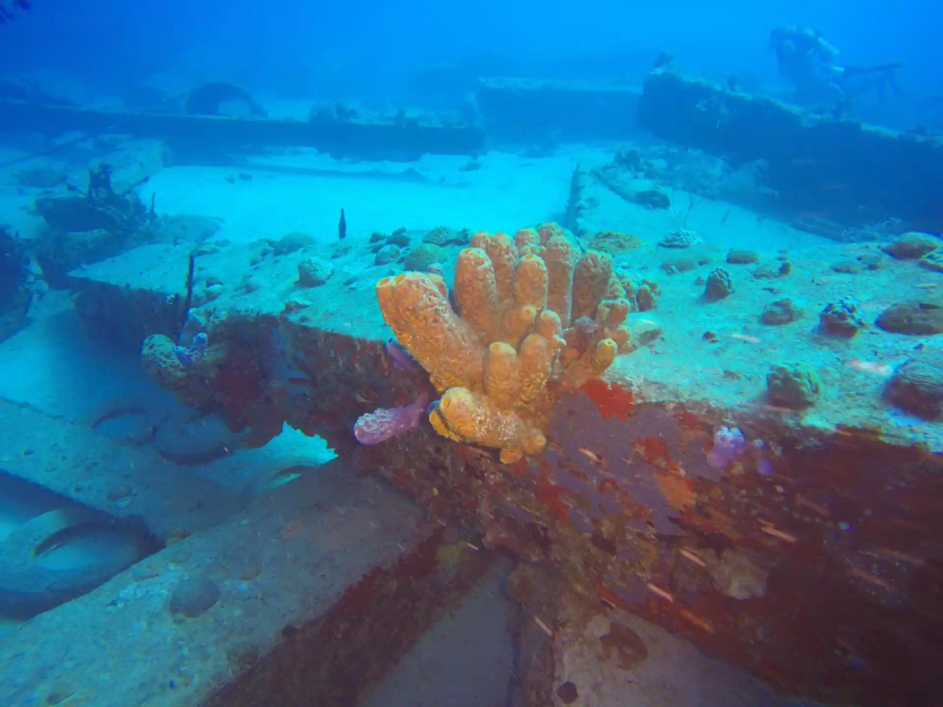 Dive site photo