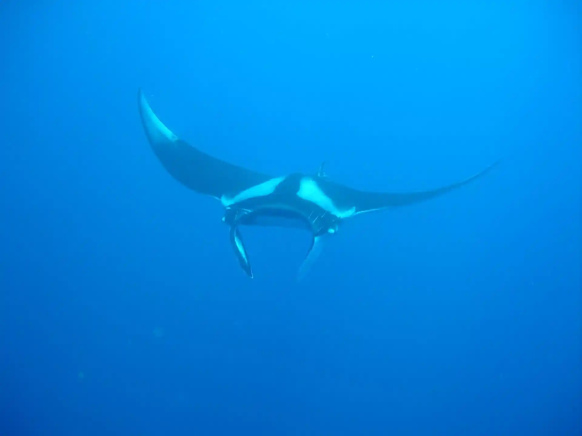 Photo du site de plongée