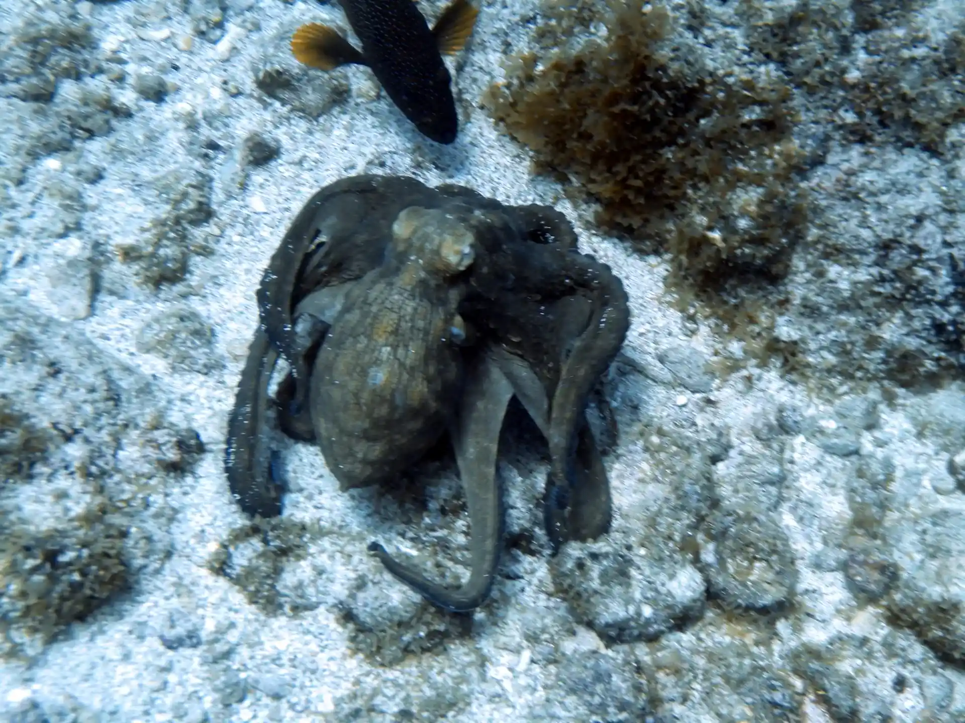 Dive site photo