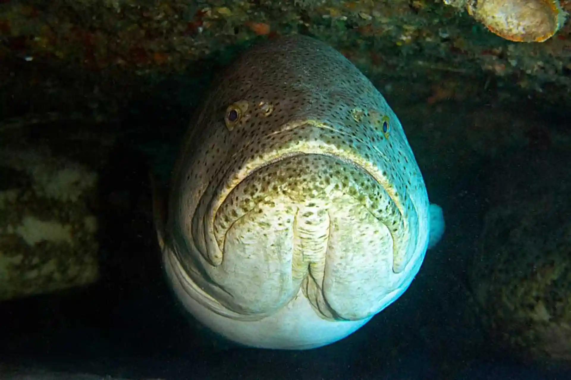 Dive site photo