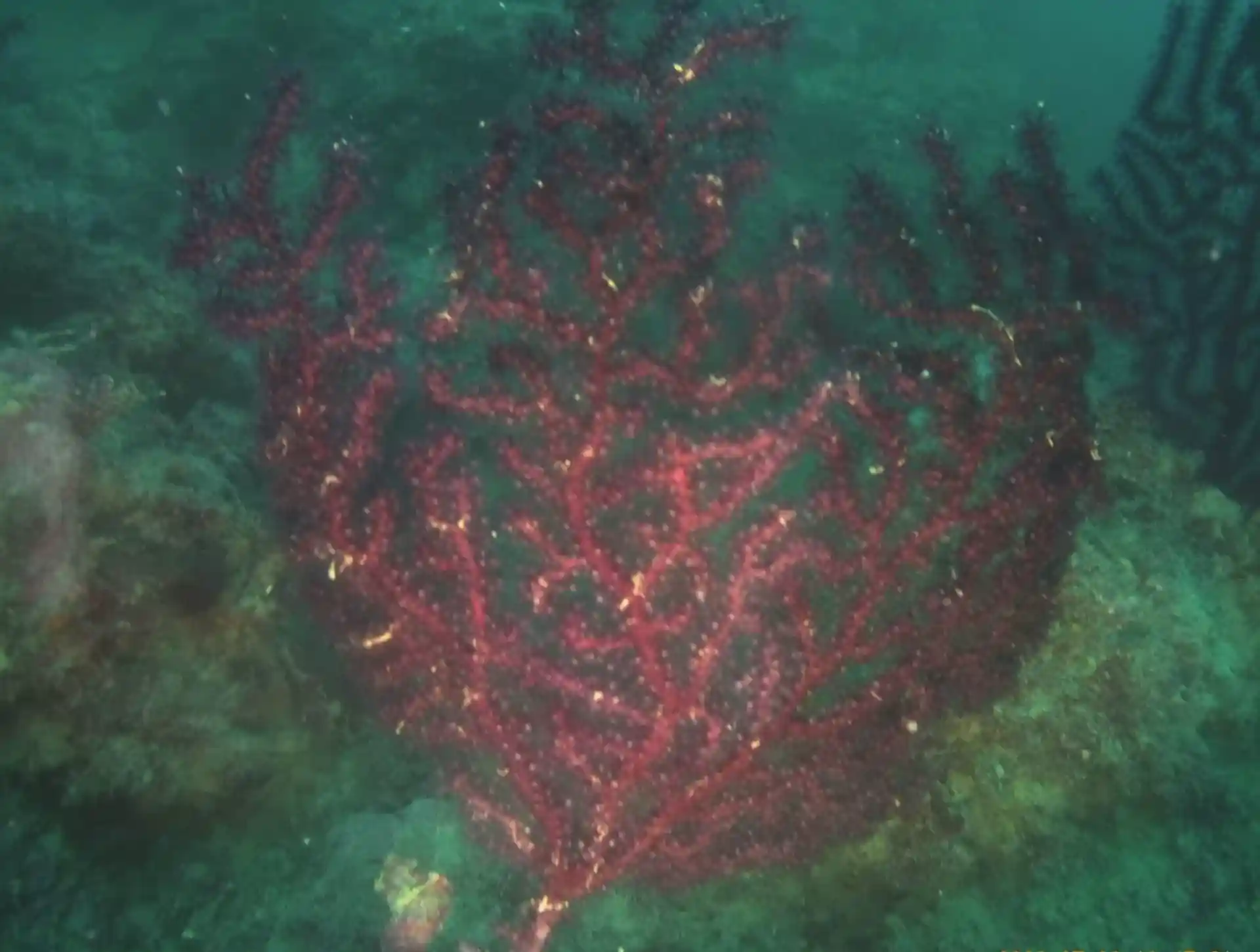 다이빙 포인트 사진