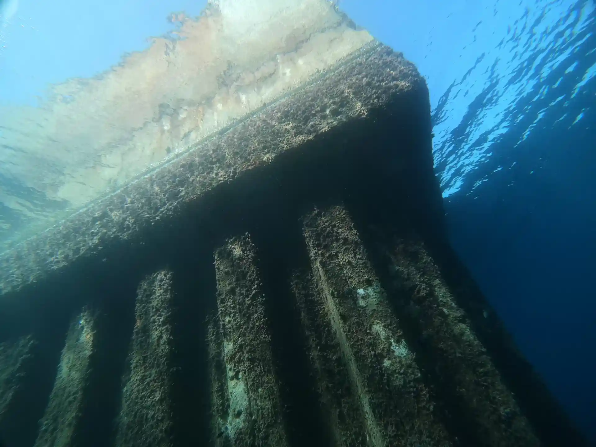 ダイビングサイトの写真