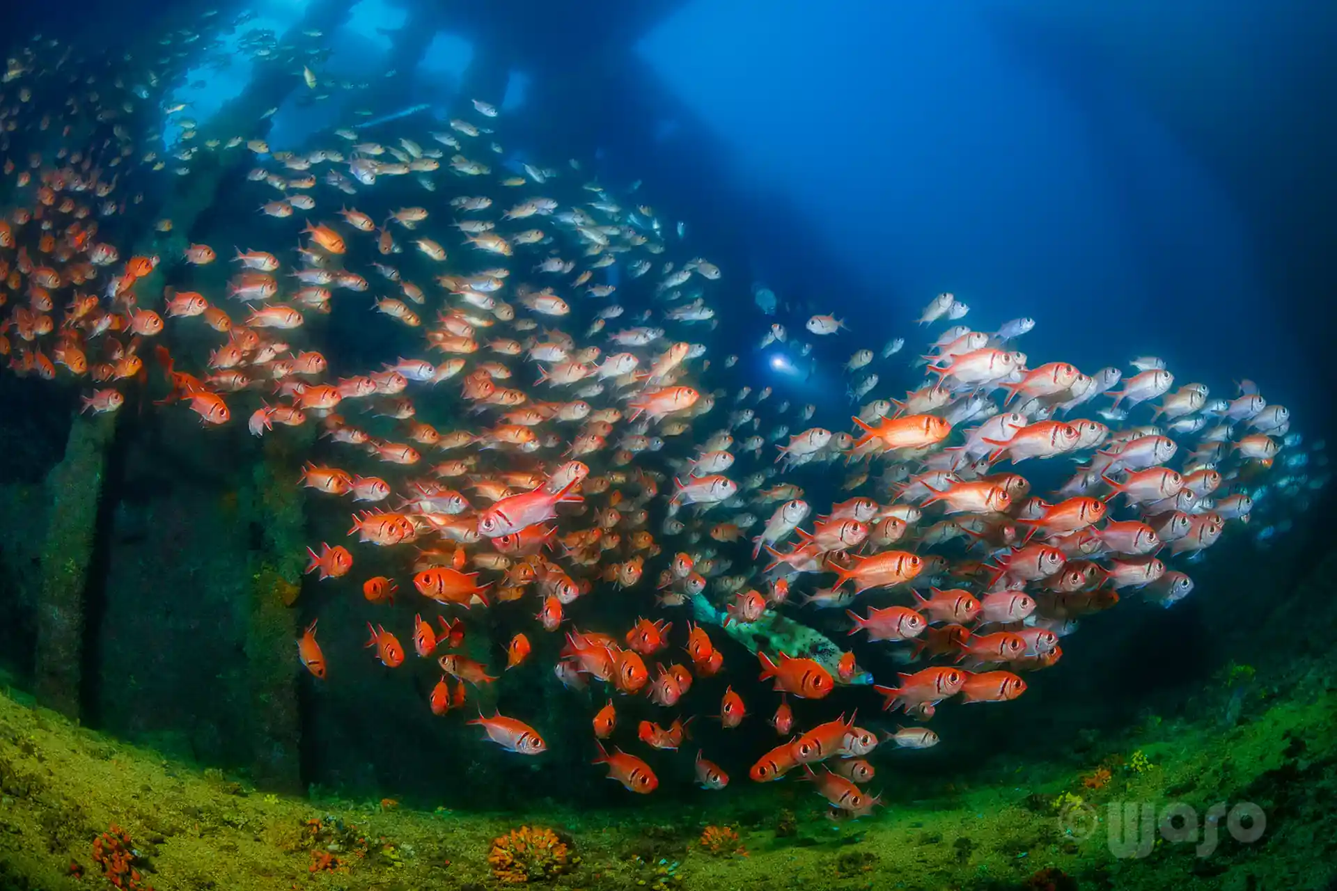 Dive site photo