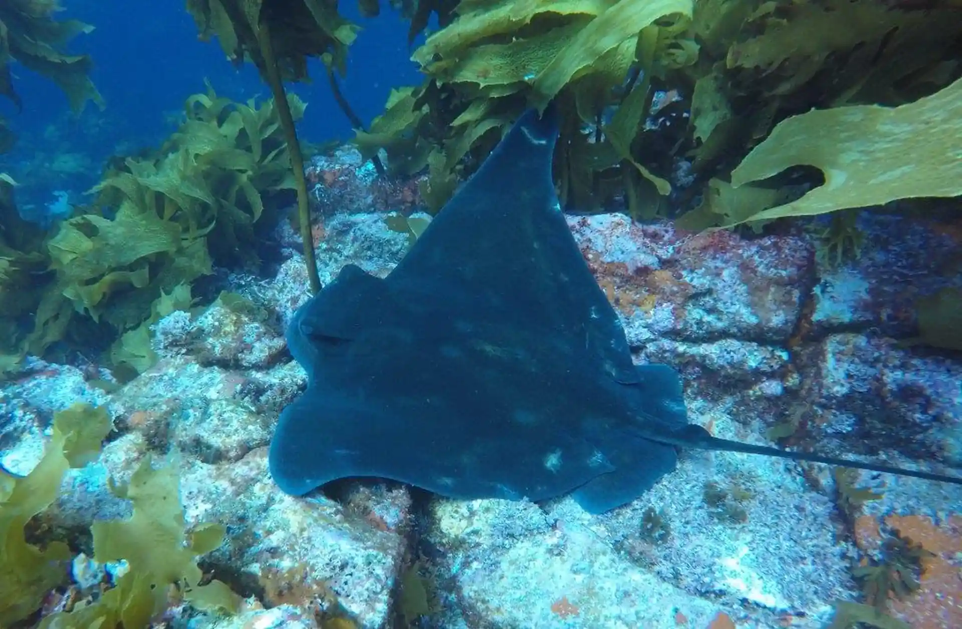 Dive shop photo