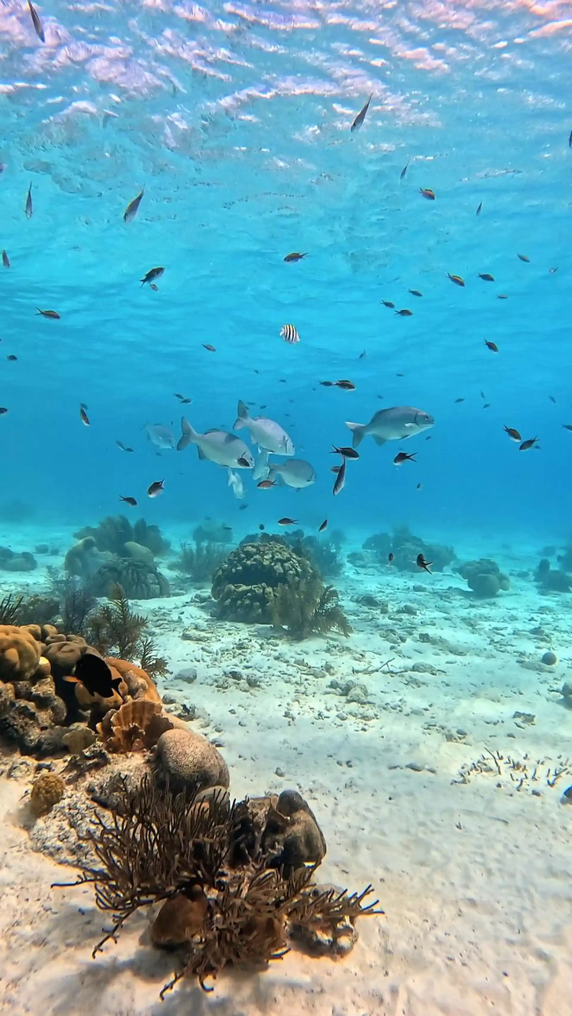 다이빙 포인트 사진