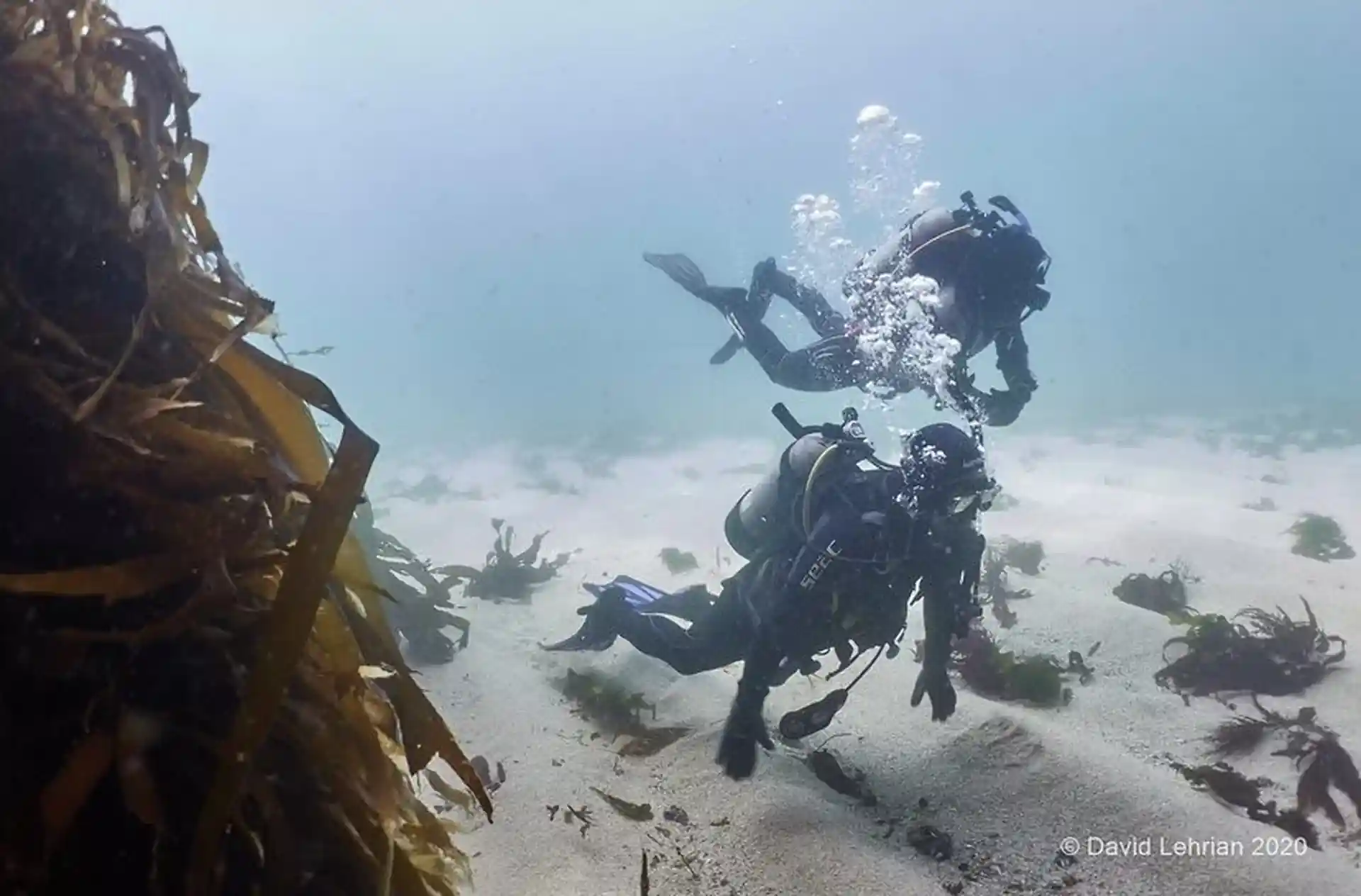Dive shop photo