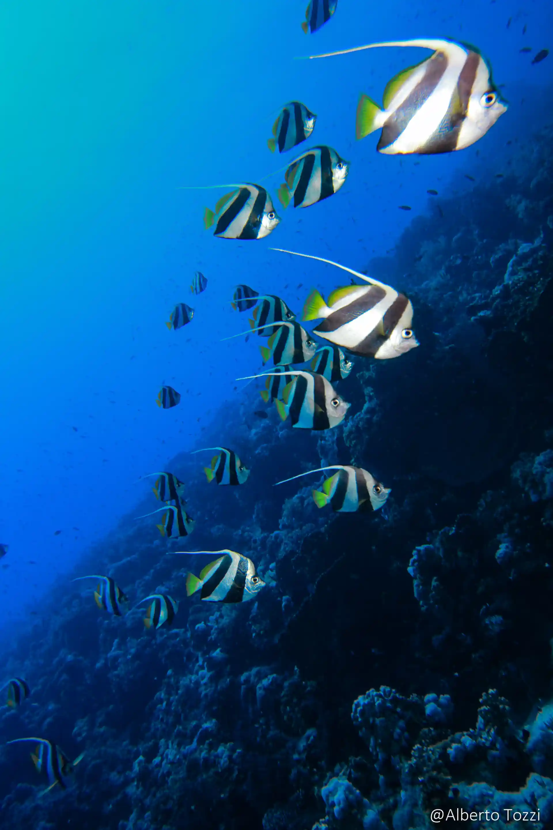 Dive shop photo