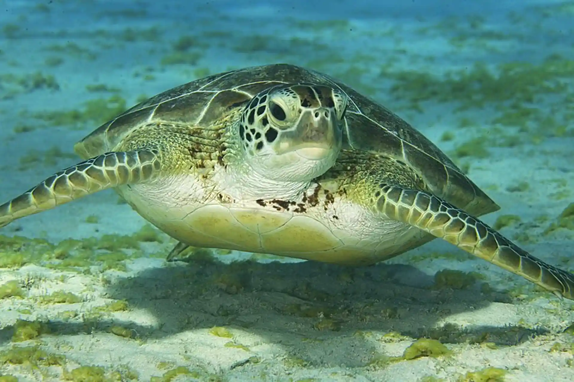 Dive site photo