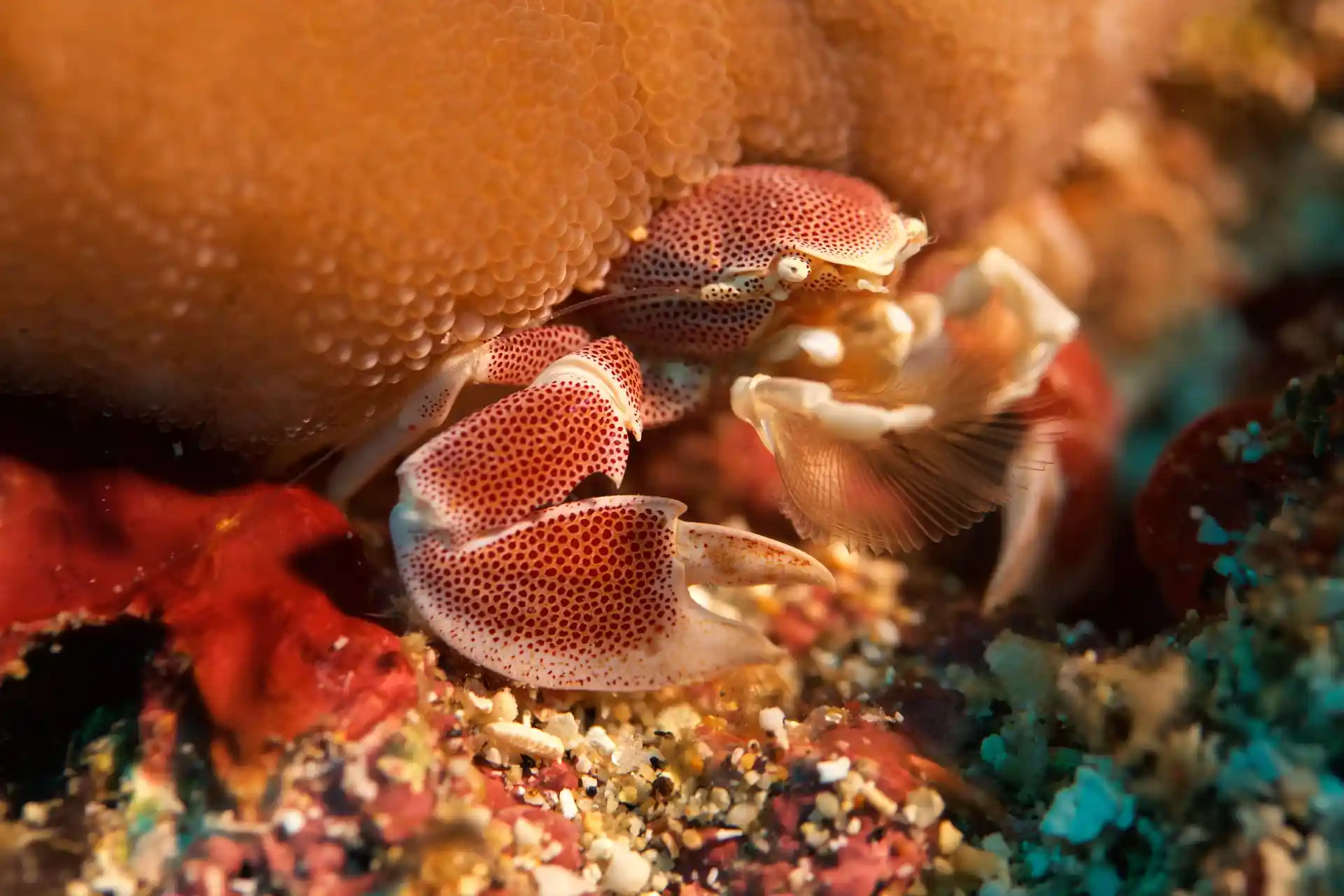 Foto del sitio de buceo