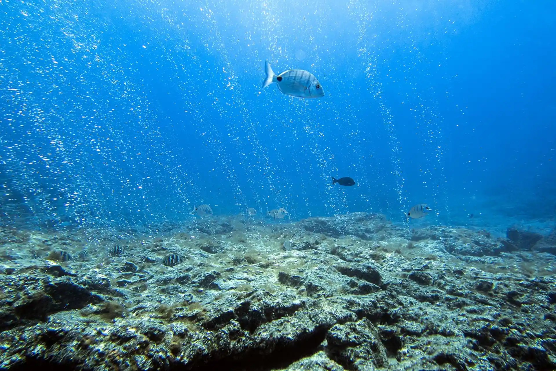 Foto del sitio de buceo
