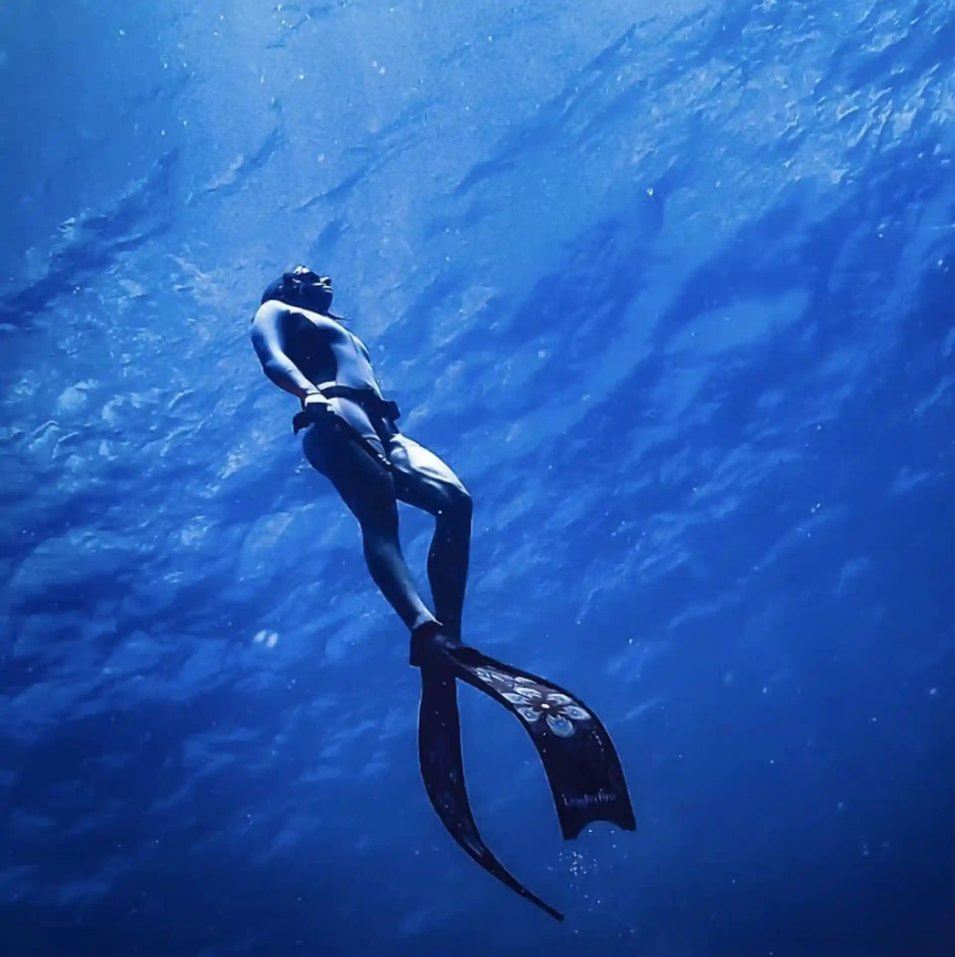 Photo de l'activité