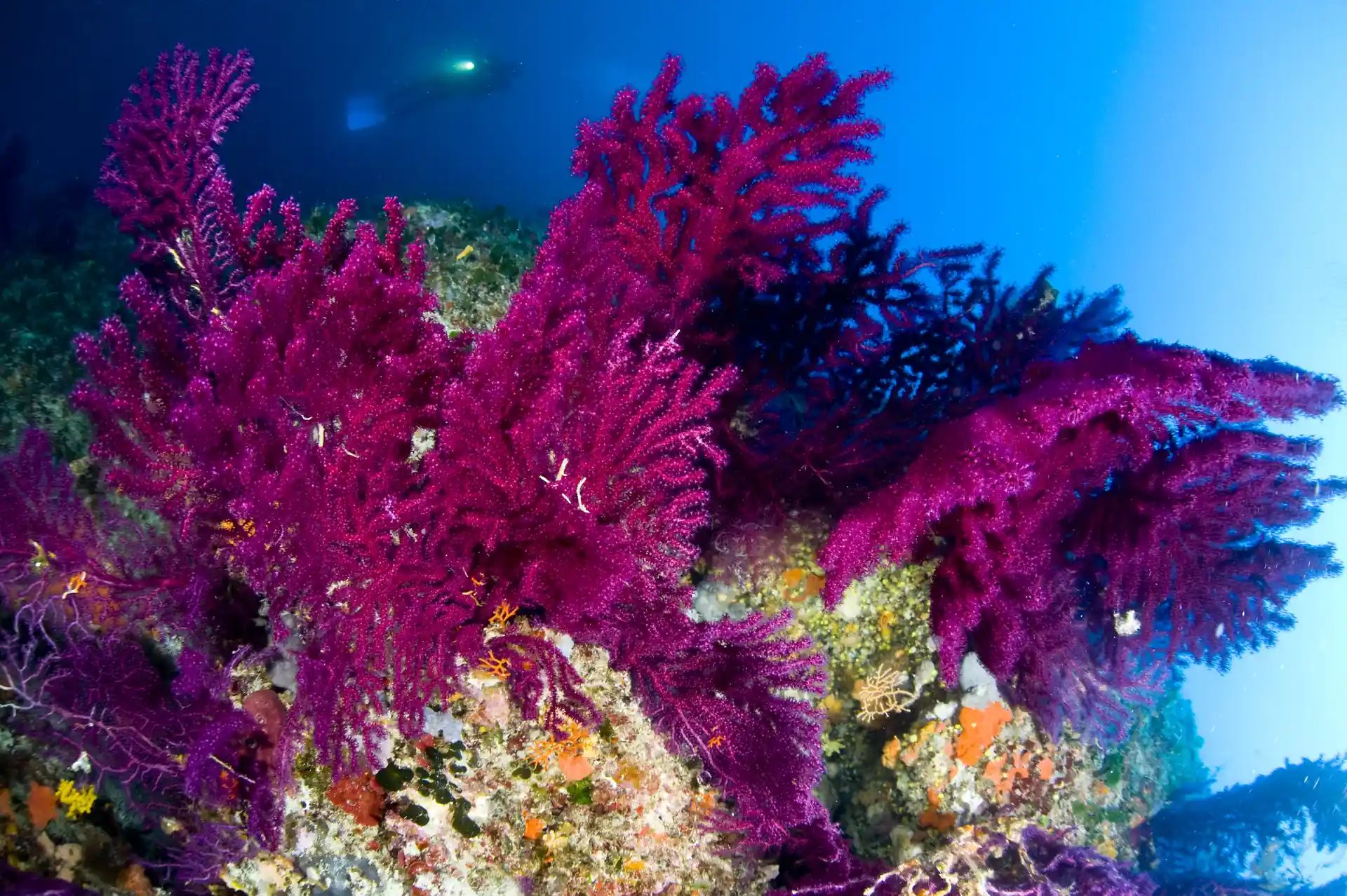 Photo de l'activité