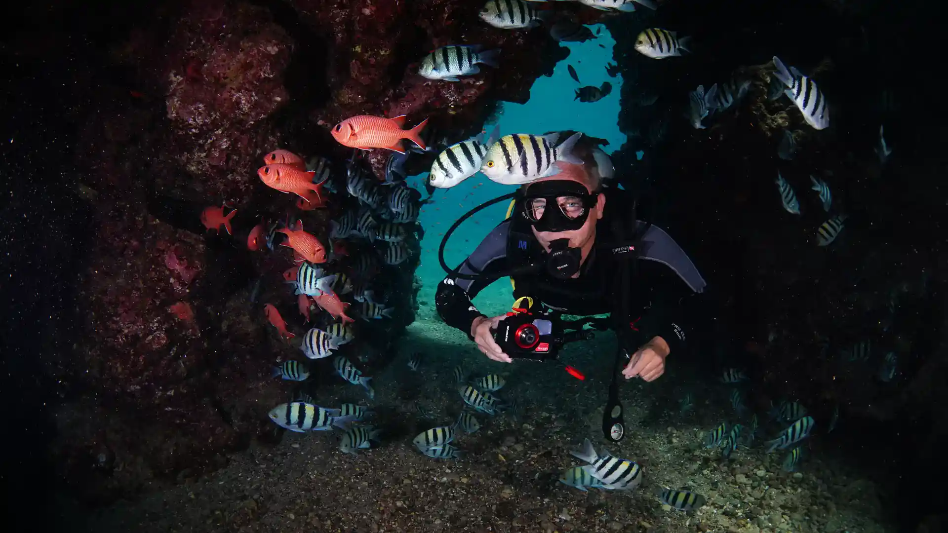 Dive shop photo
