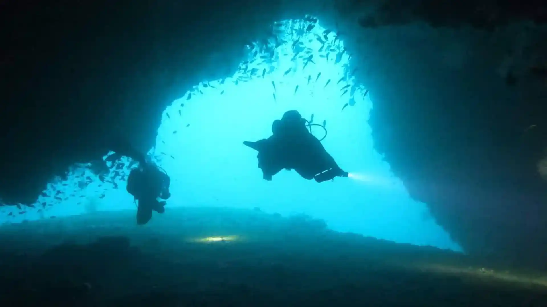 Dive shop photo