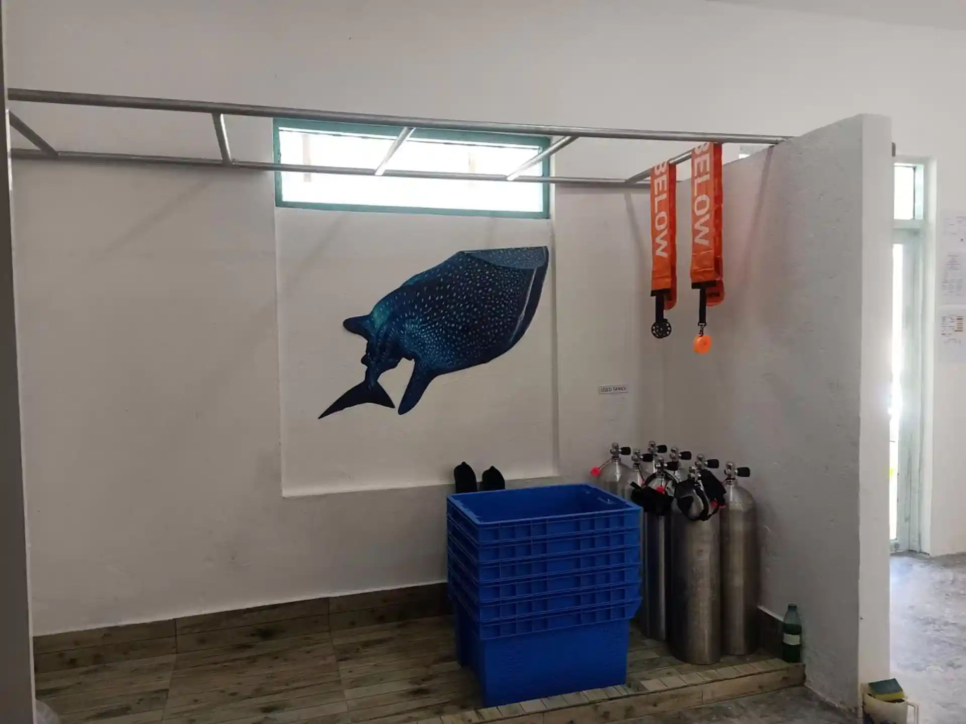 Dive shop photo