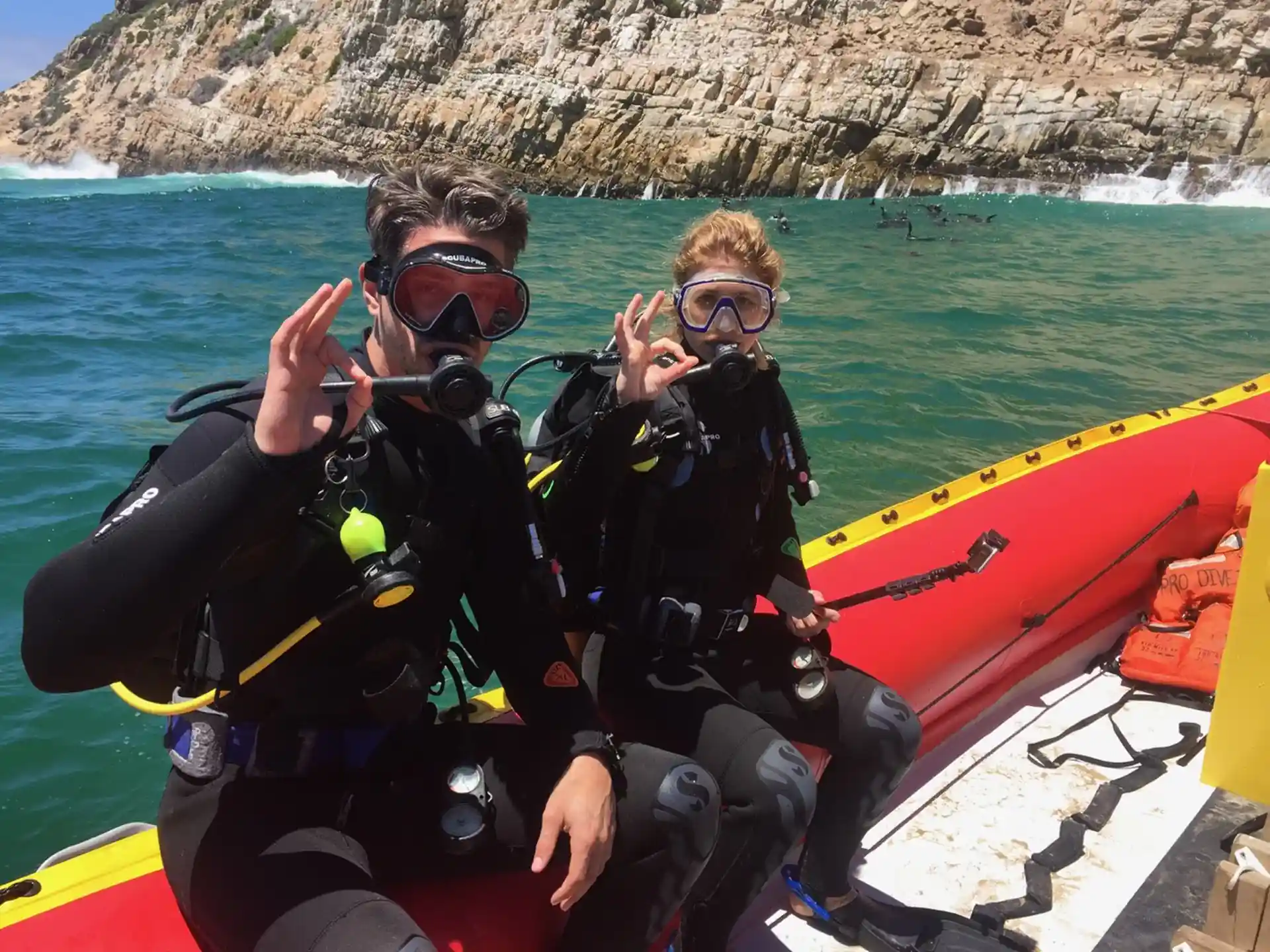 Tauchen mit den Robben