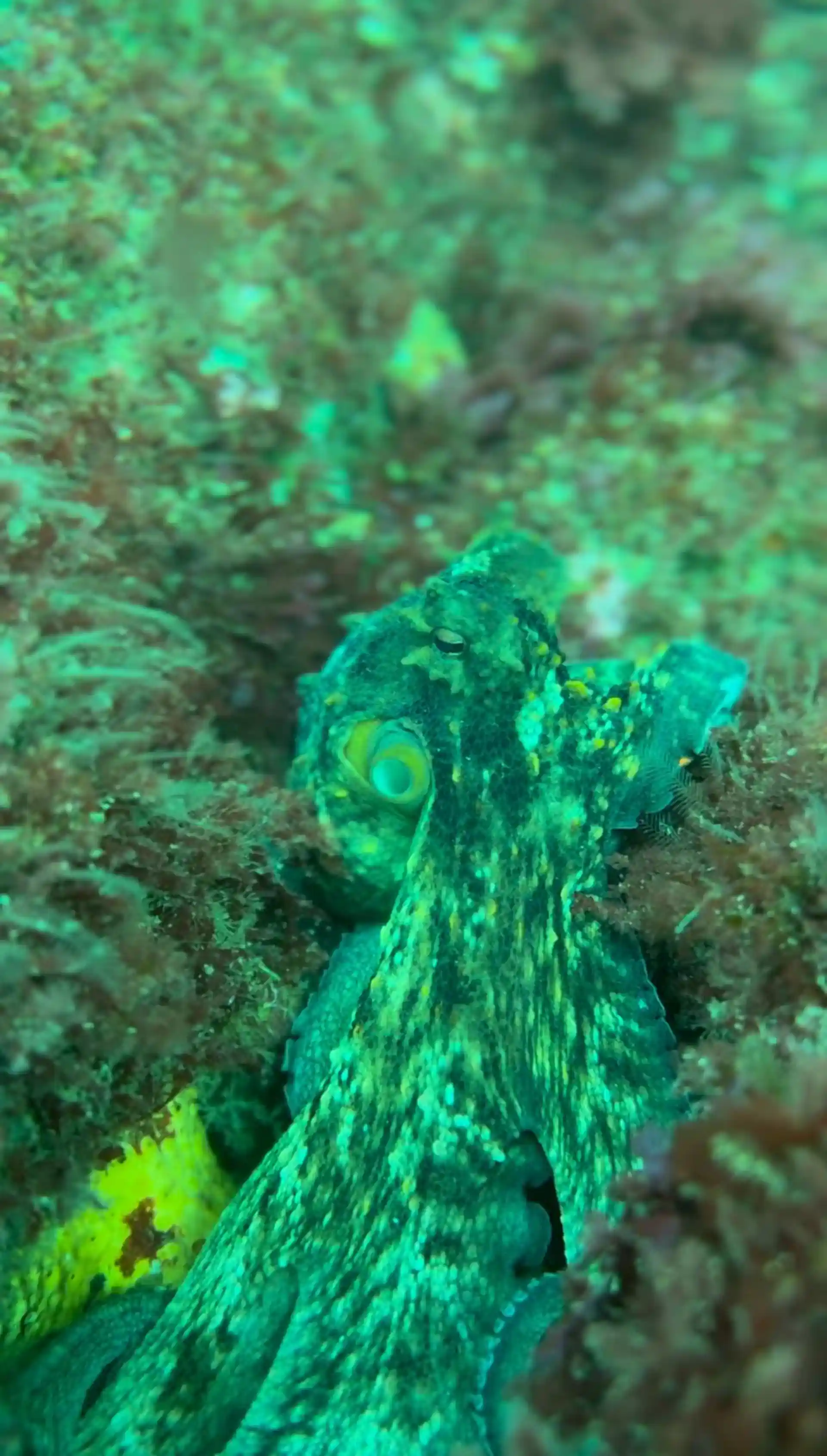 Dive site photo
