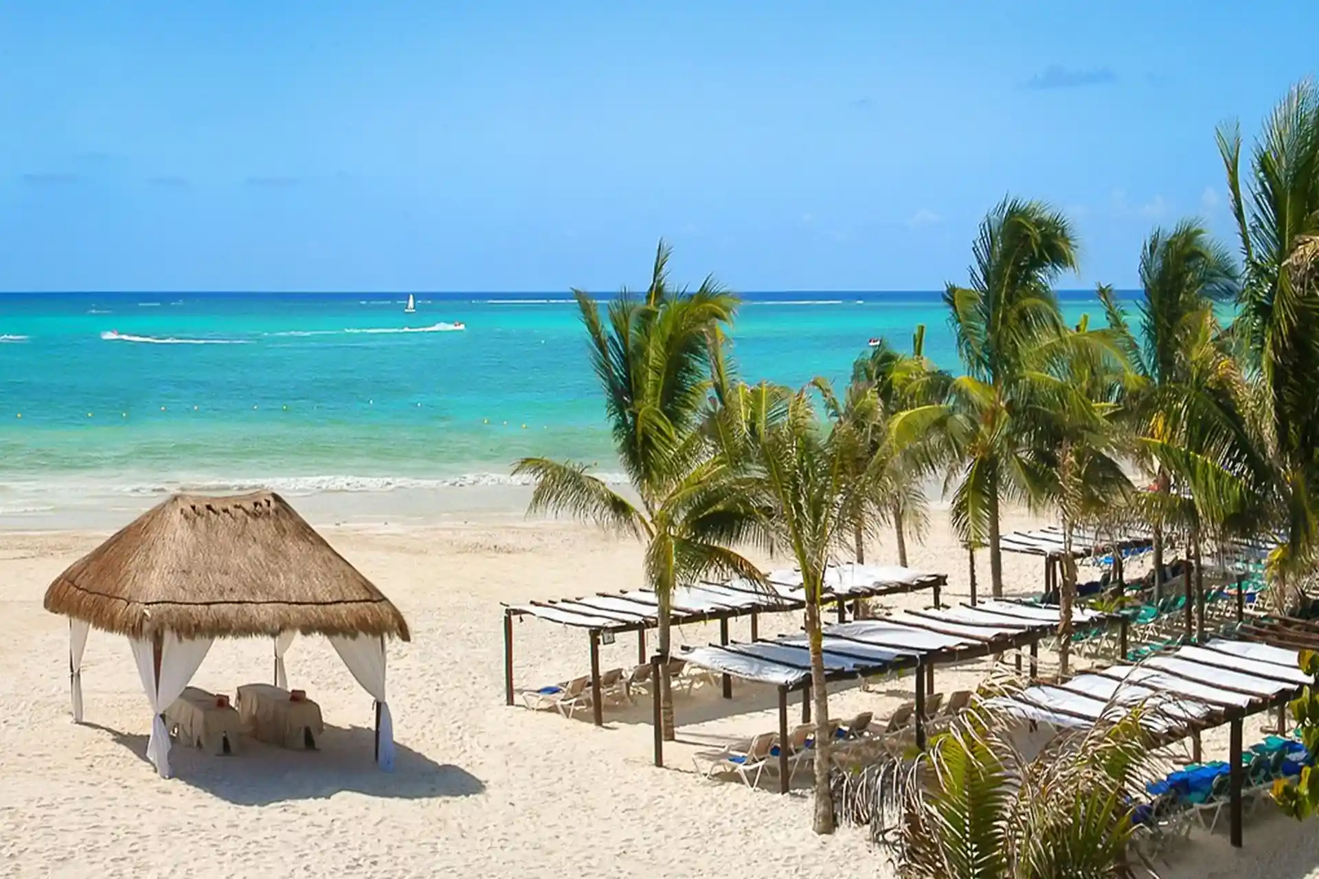 Photo de l'activité