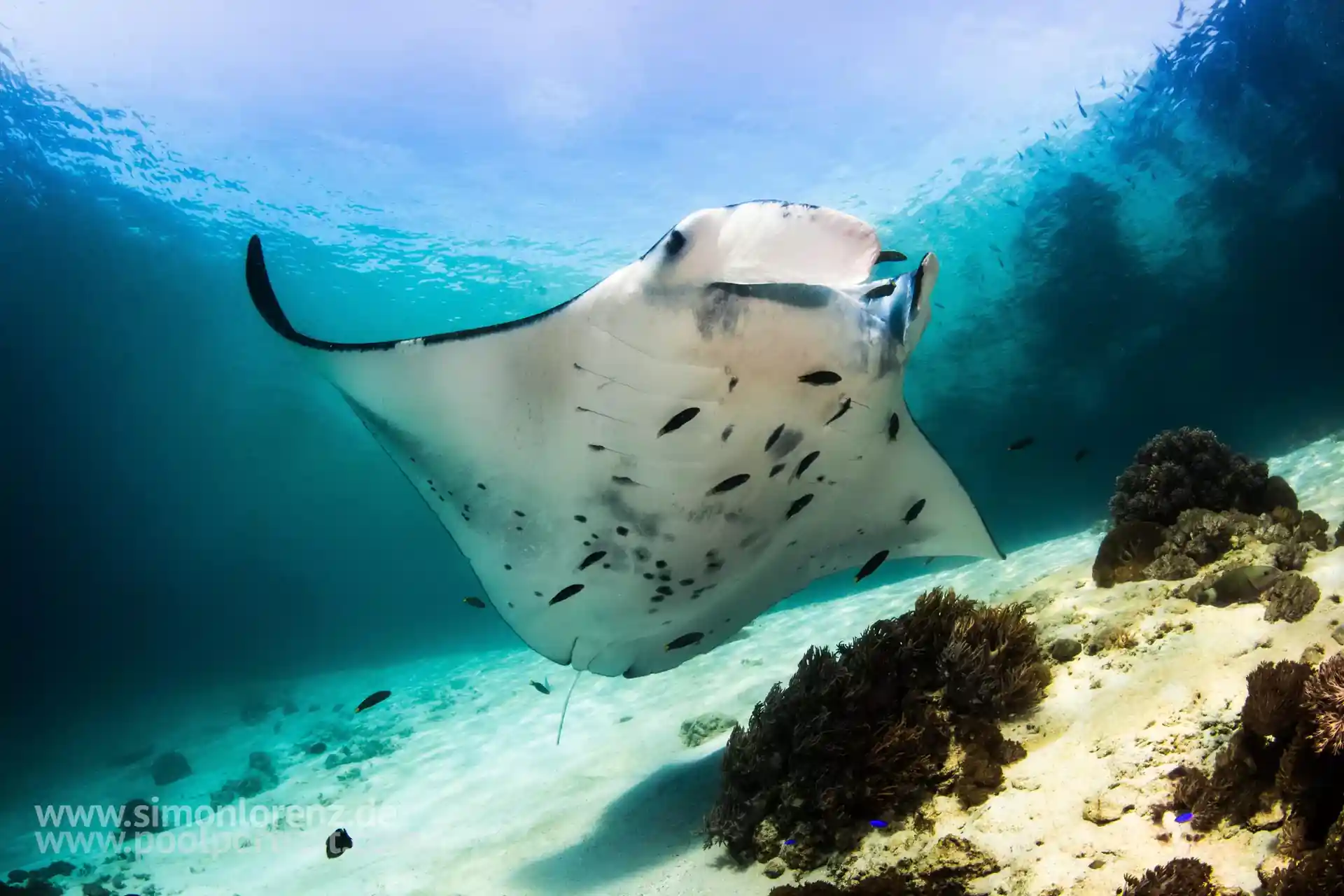 Dive site photo