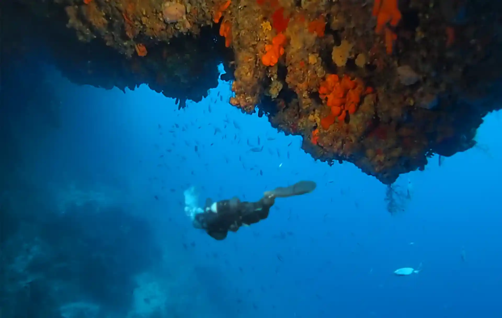 다이빙 포인트 사진