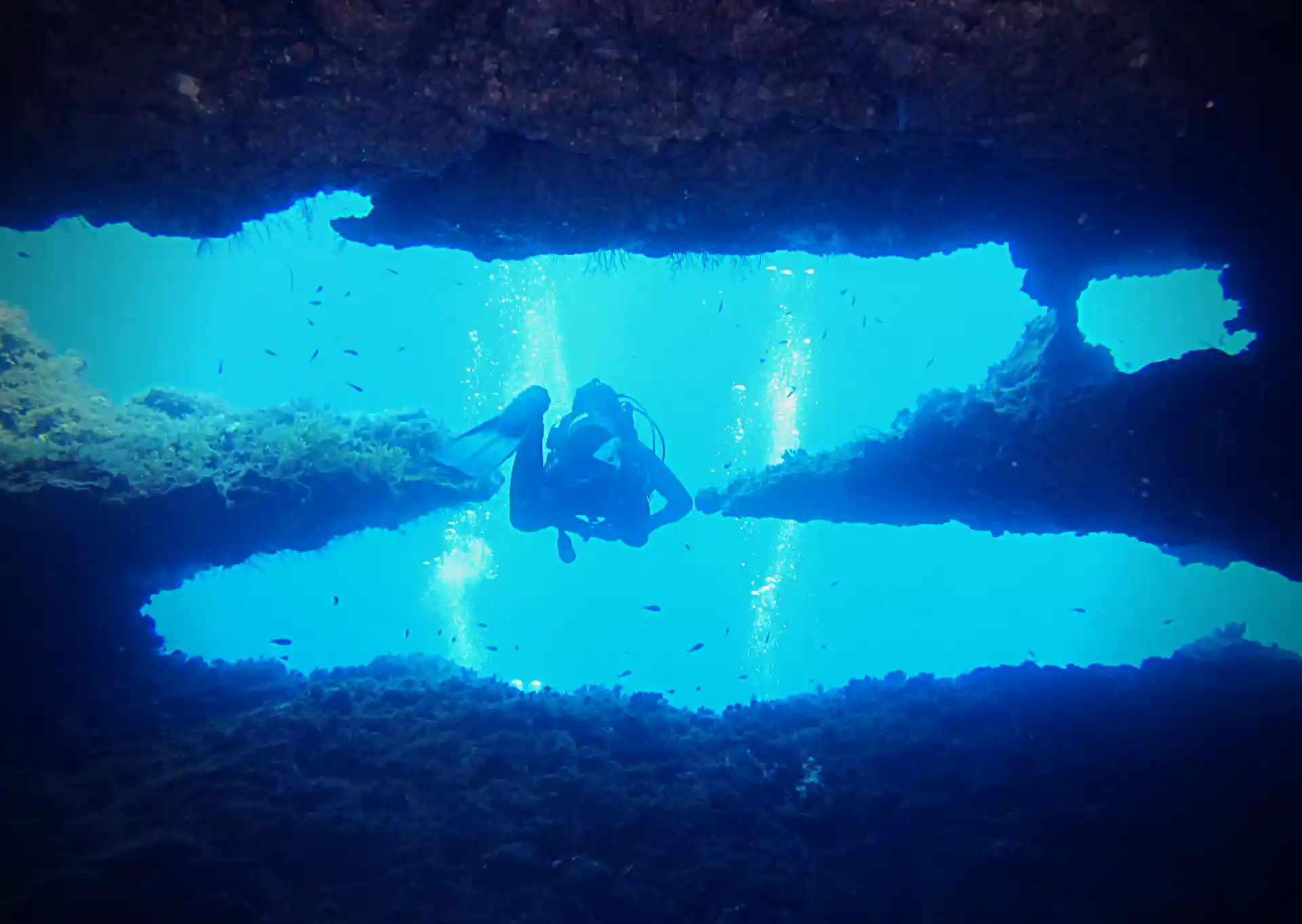 Dive site photo