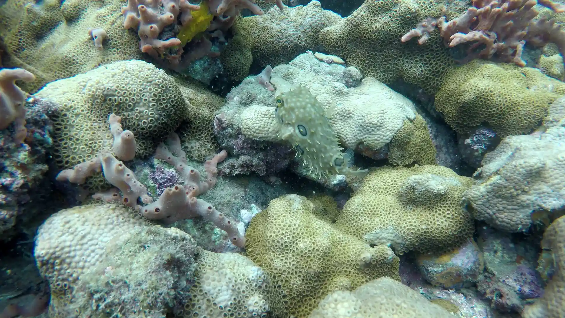 Dive site photo