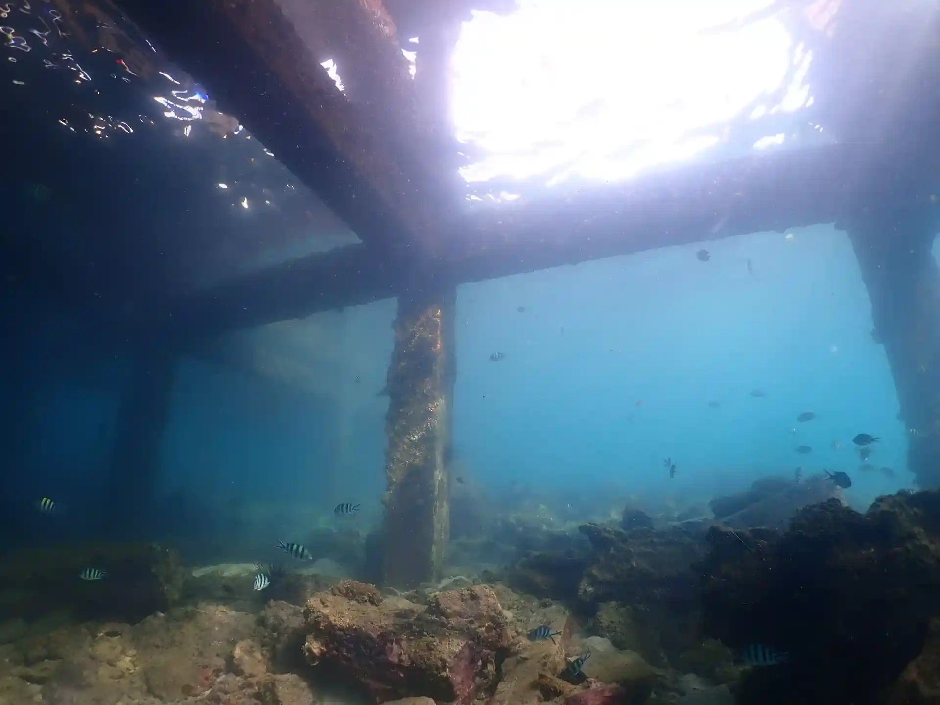 Dive site photo