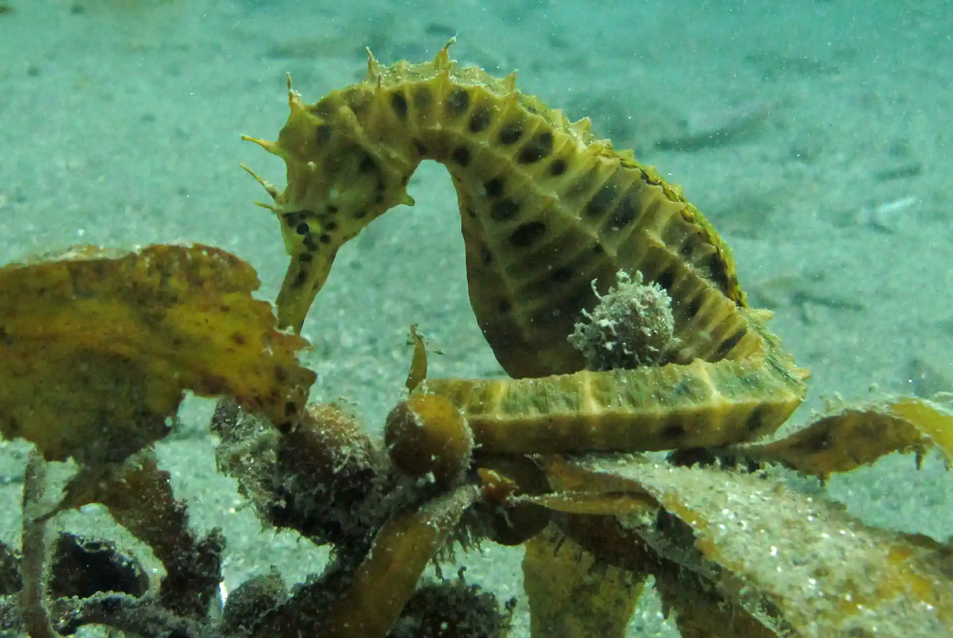 Dive site photo