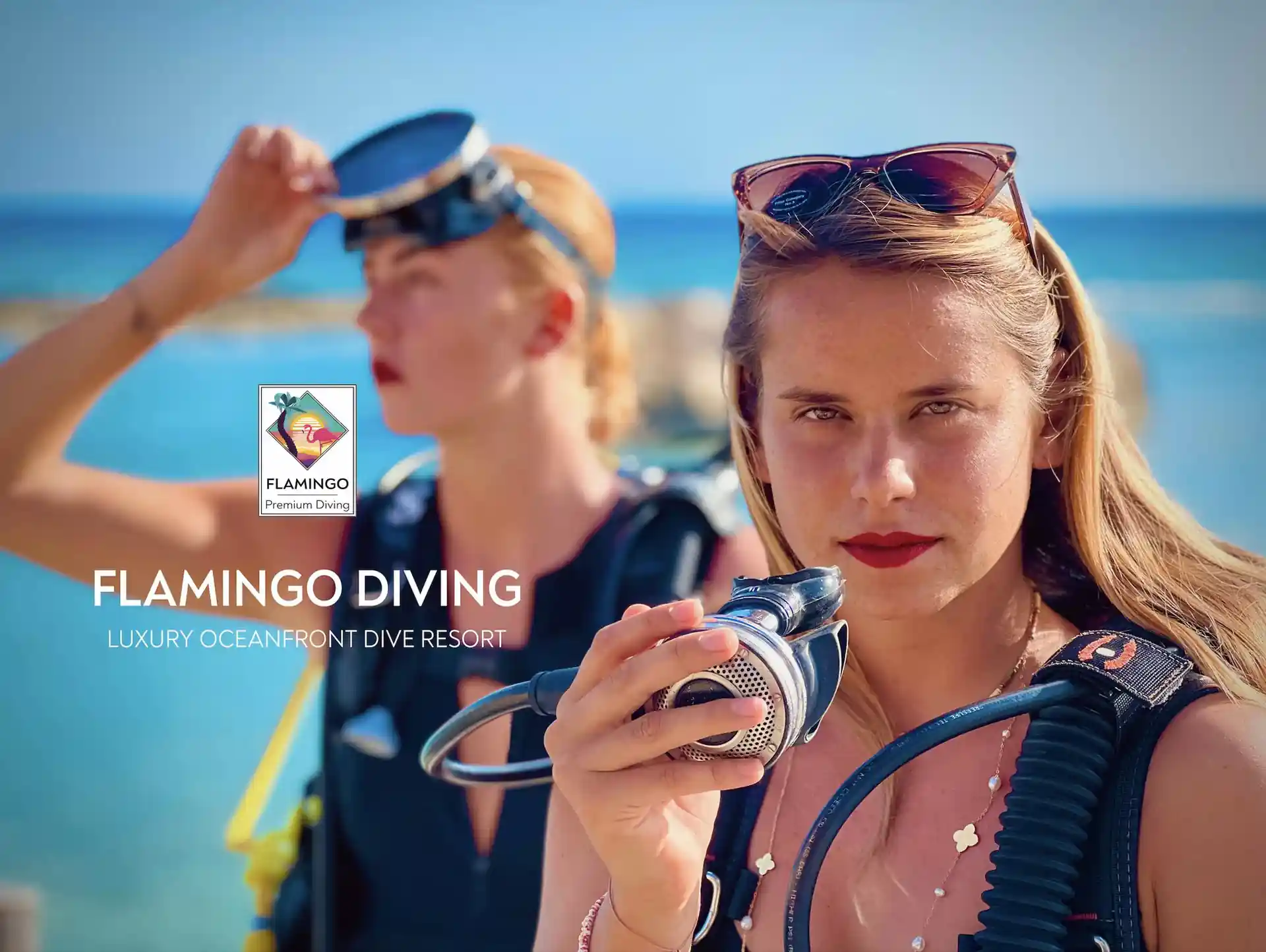 Dive shop photo