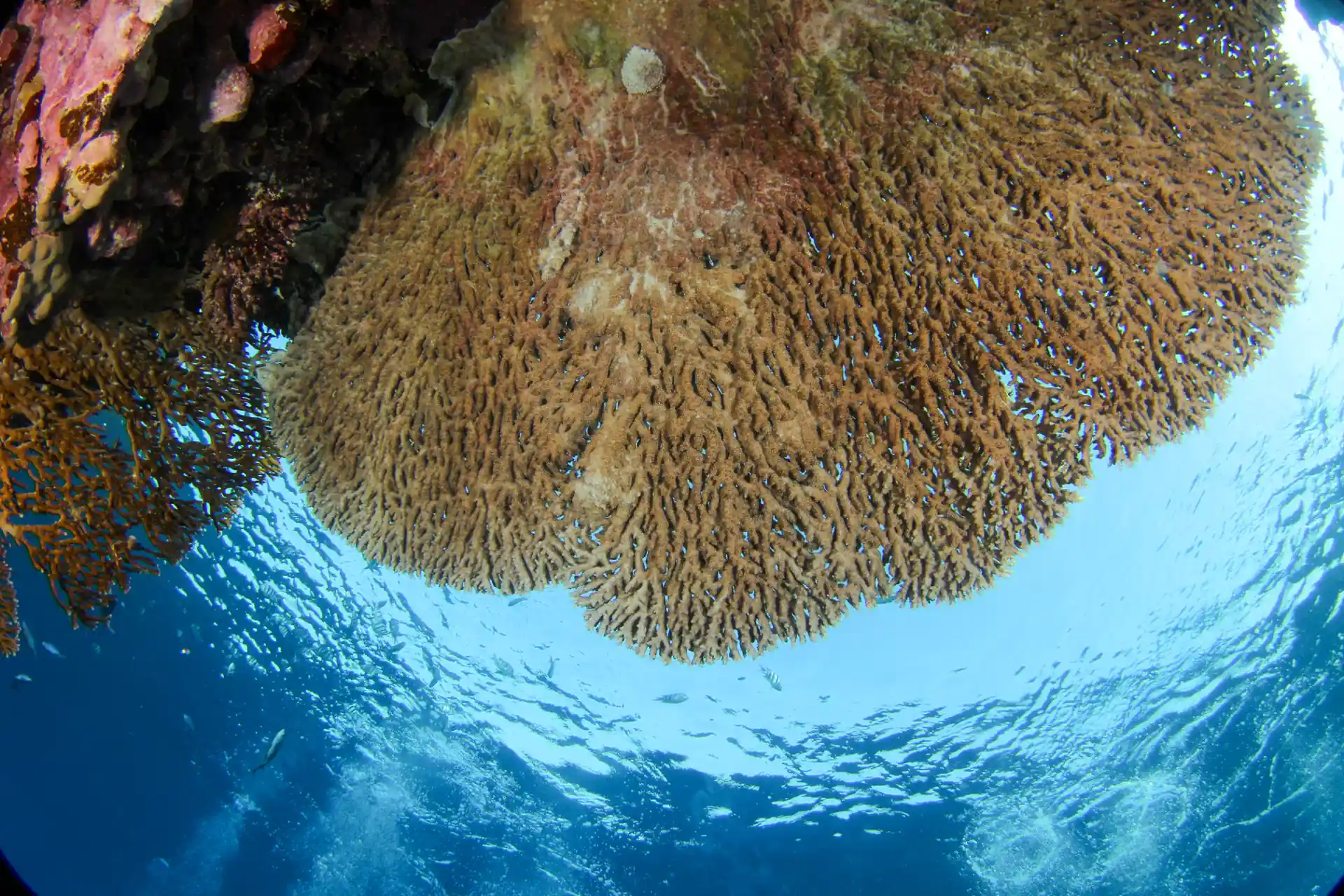 Foto de la actividad